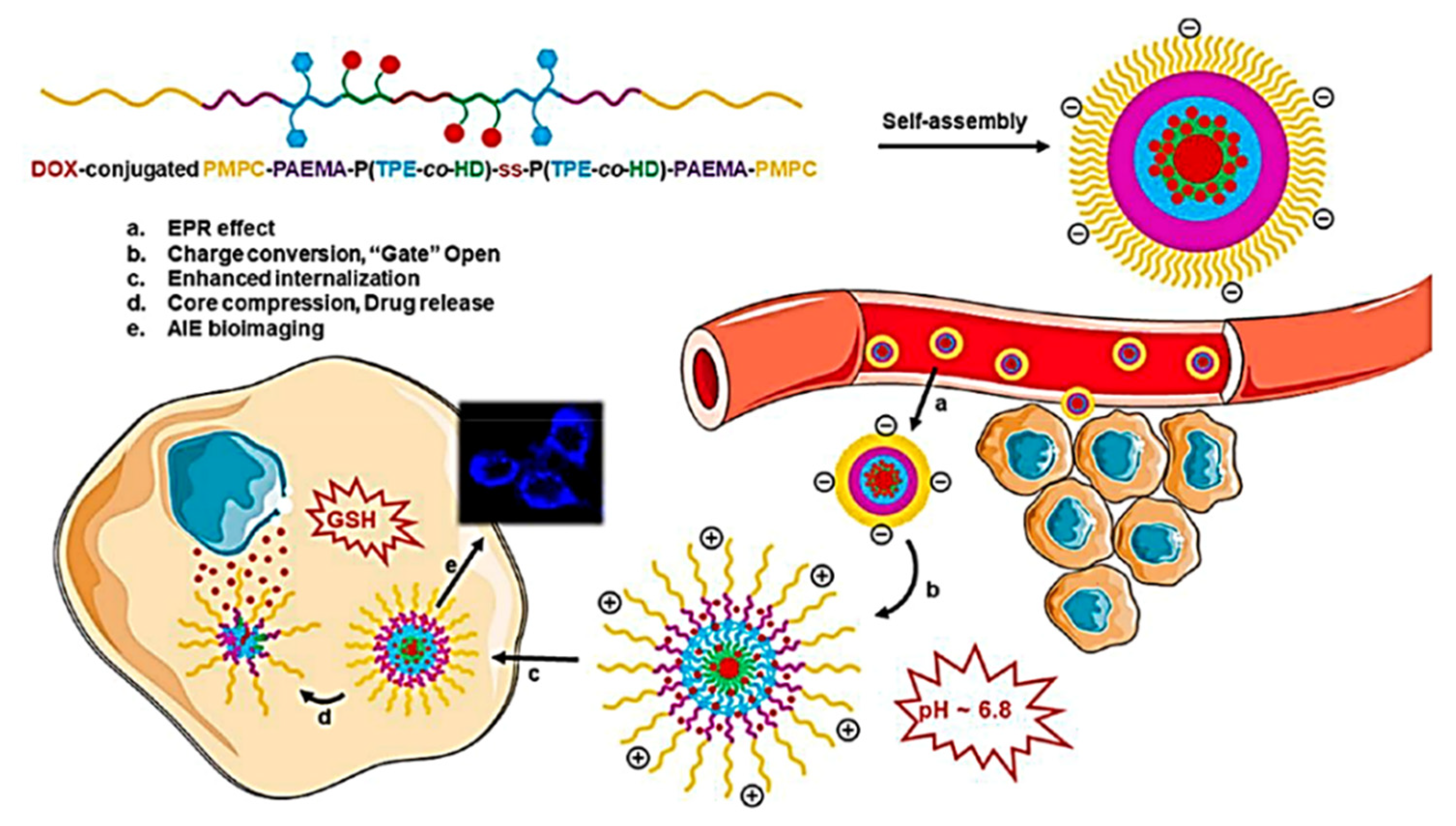 Molecules 27 00150 g026