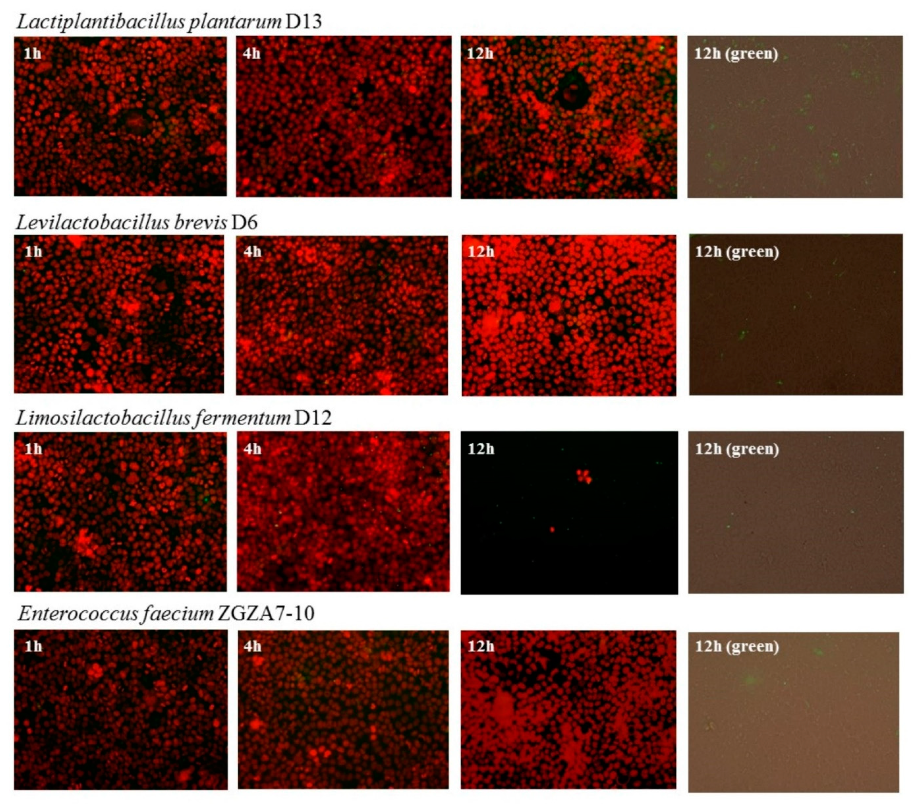 Molecules 27 00160 g002
