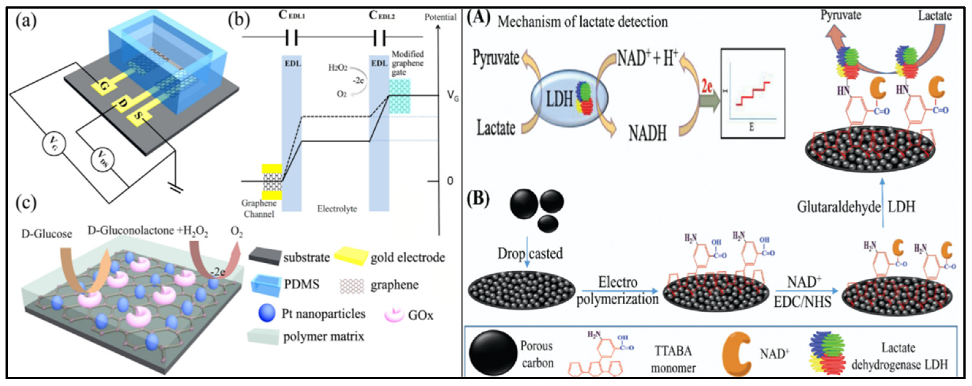 Molecules | Free Full-Text | Advances In Medical Wearable Biosensors ...