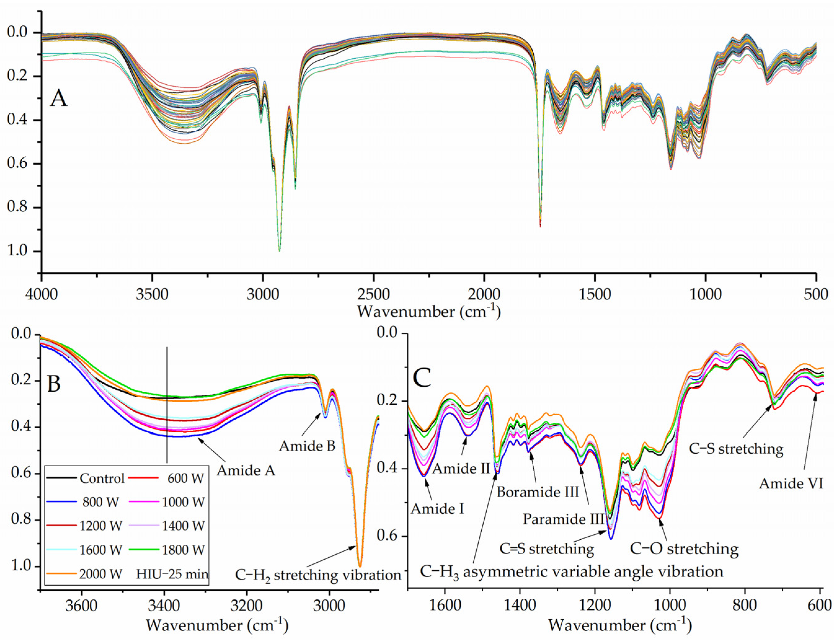 Molecules 27 00208 g002