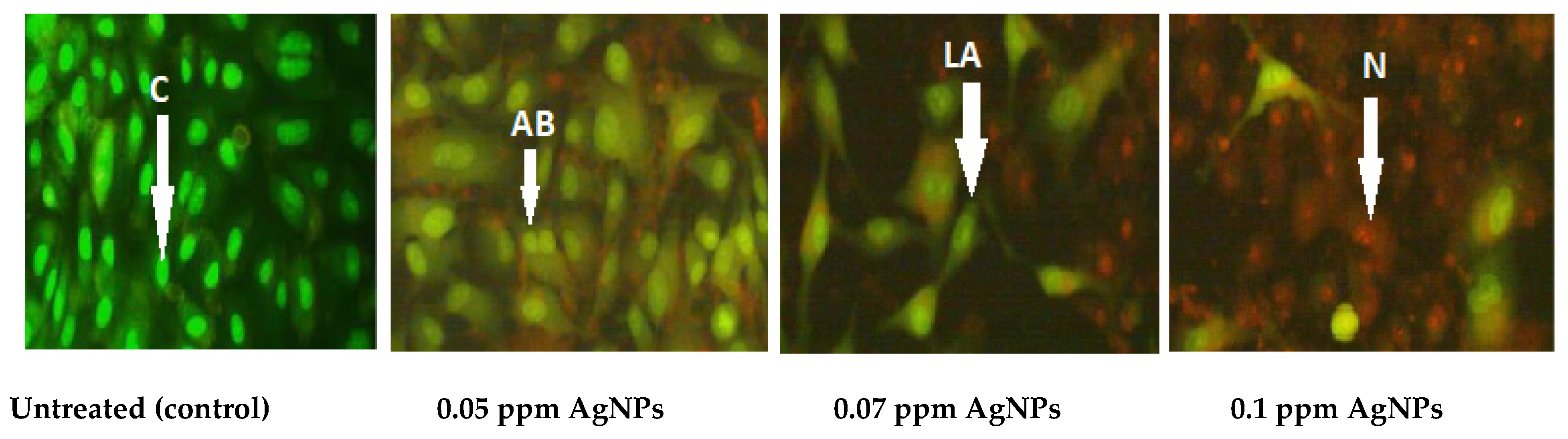 Molecules 27 00212 g006