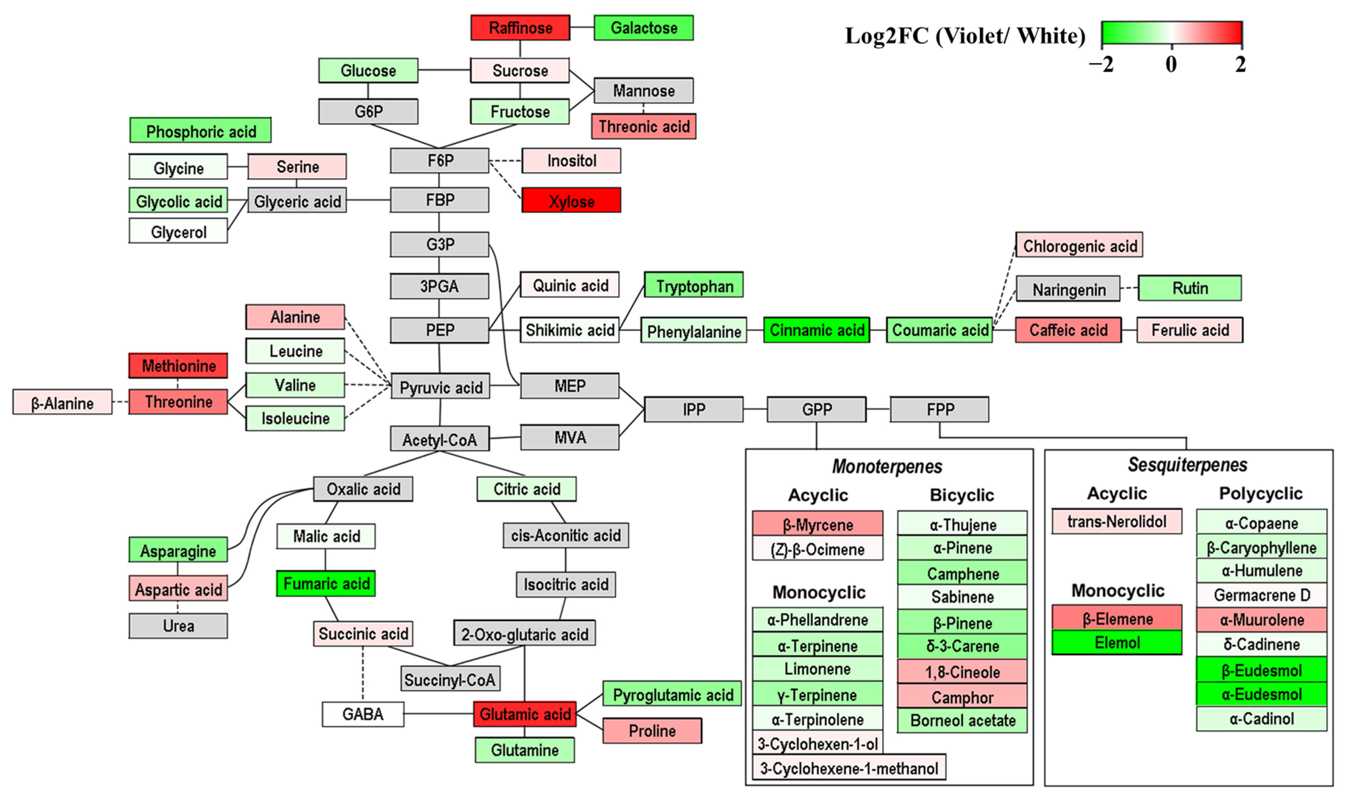 Molecules 27 00221 g004