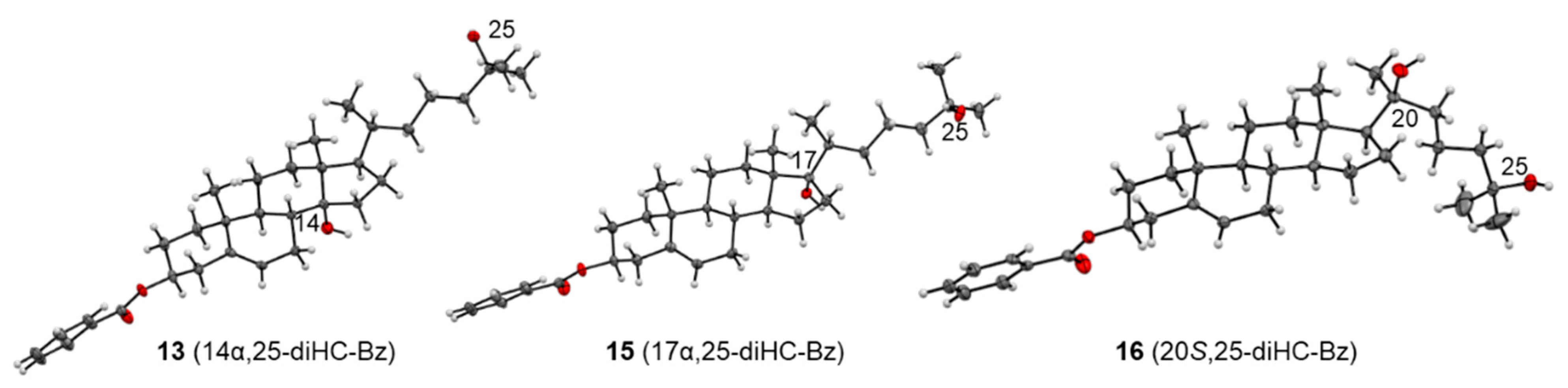 Molecules 27 00225 g006