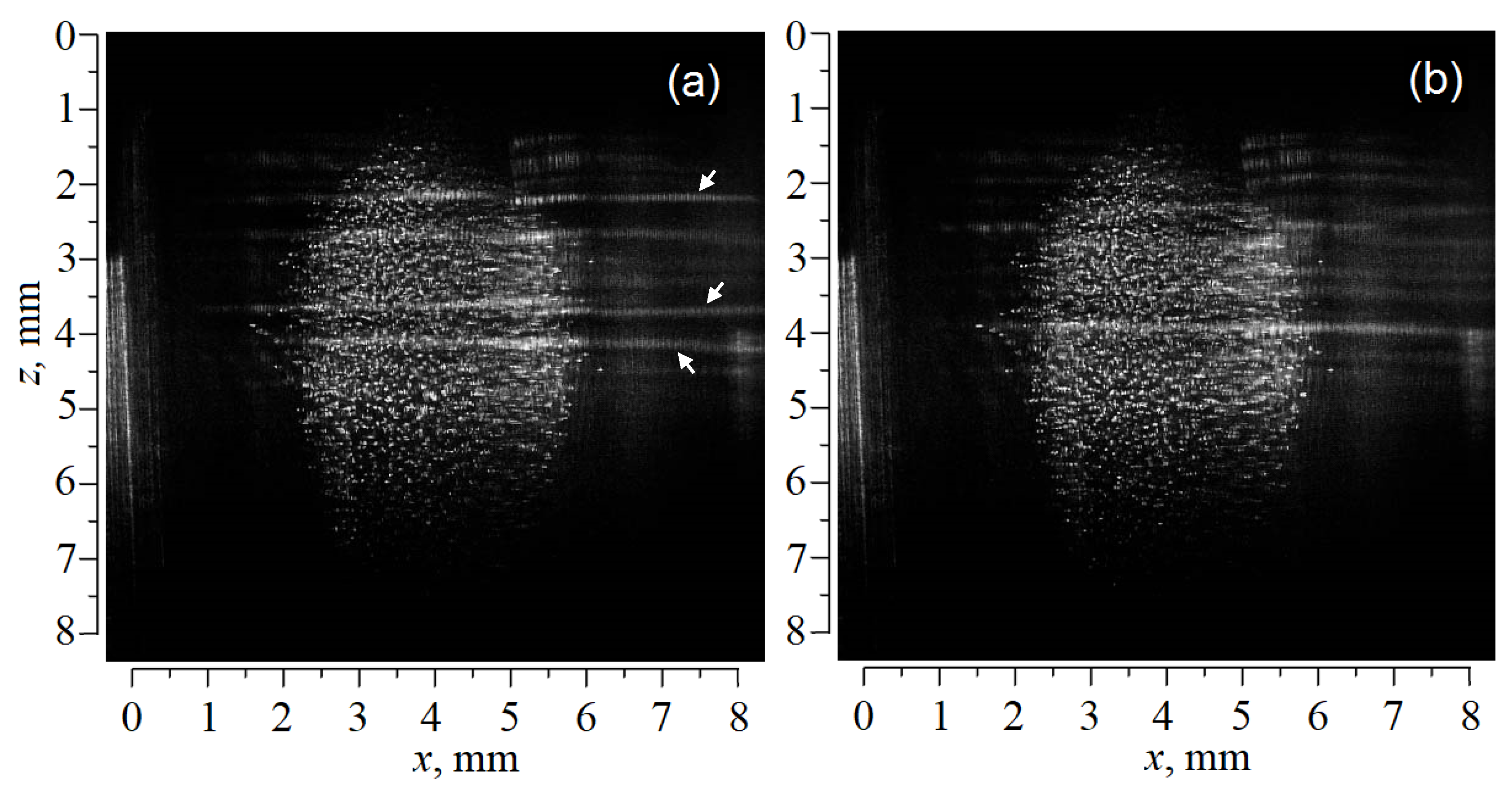 Molecules 27 00227 g003