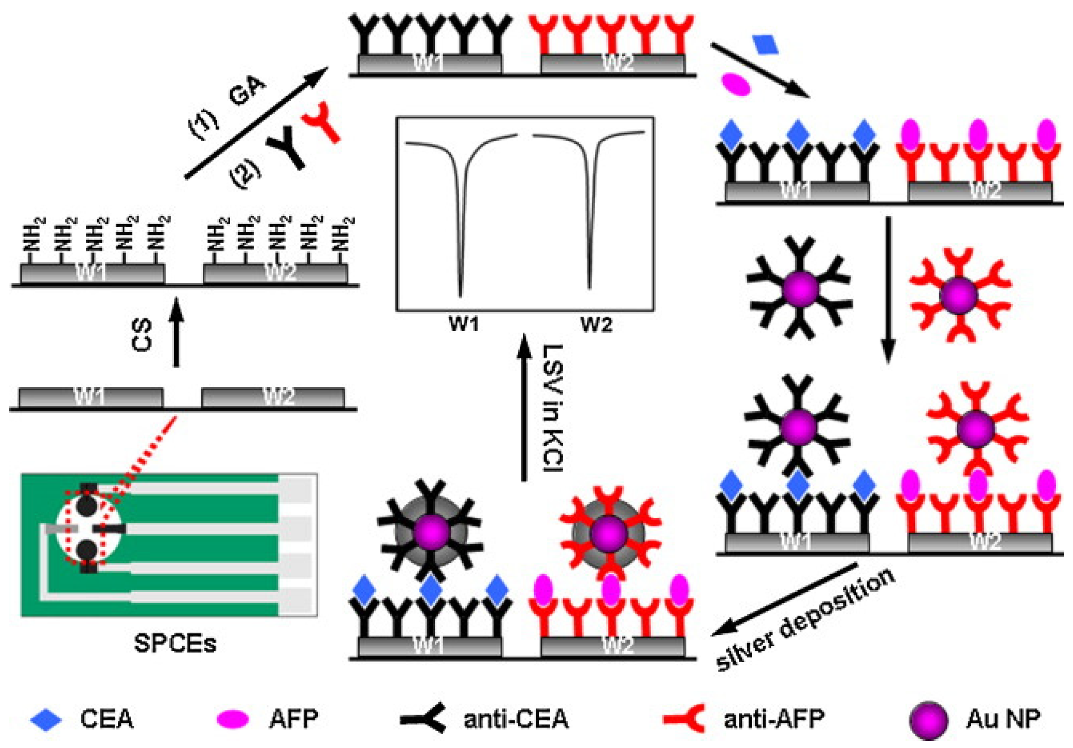 Molecules 27 00267 g004