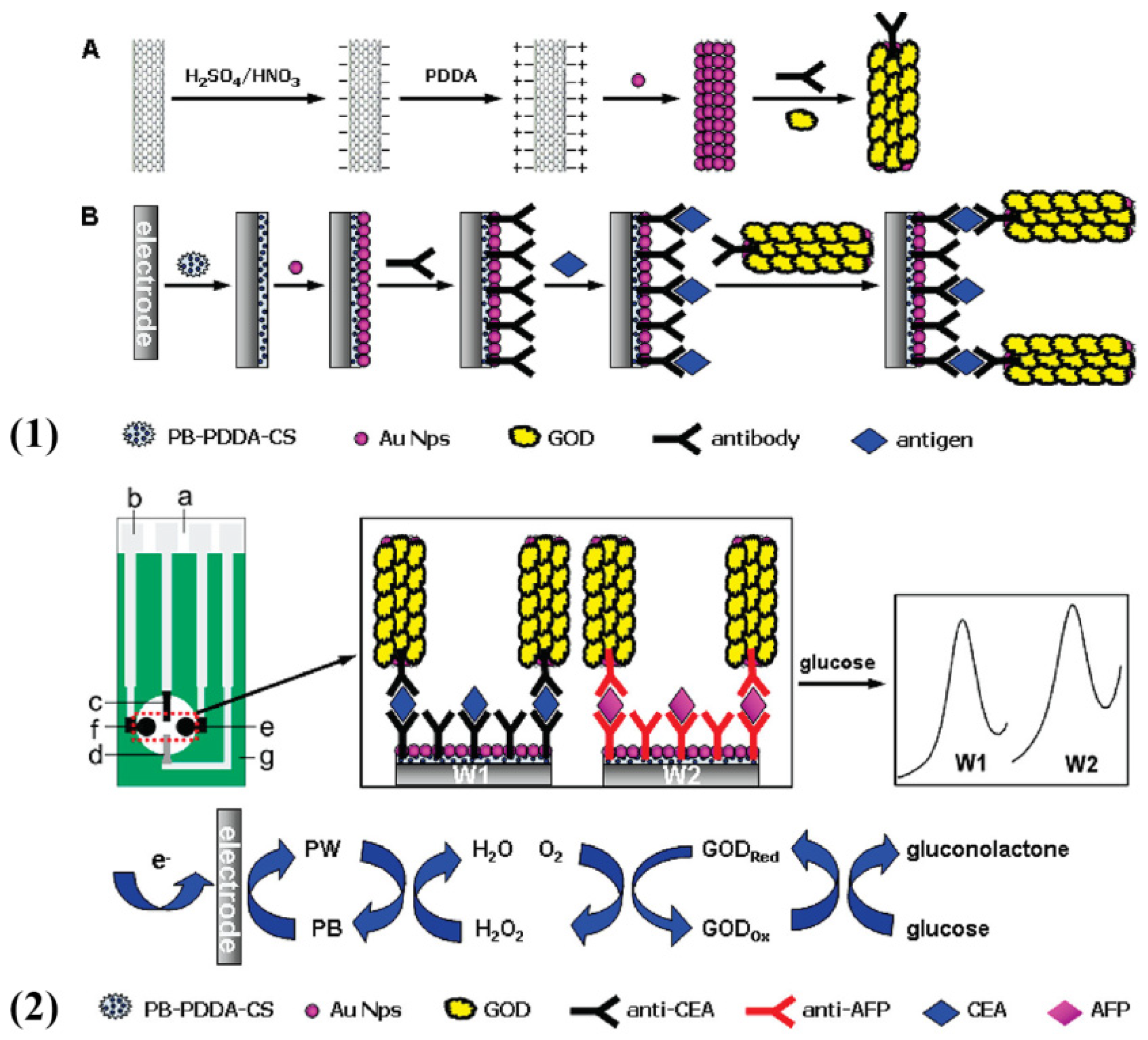 Molecules 27 00267 g005