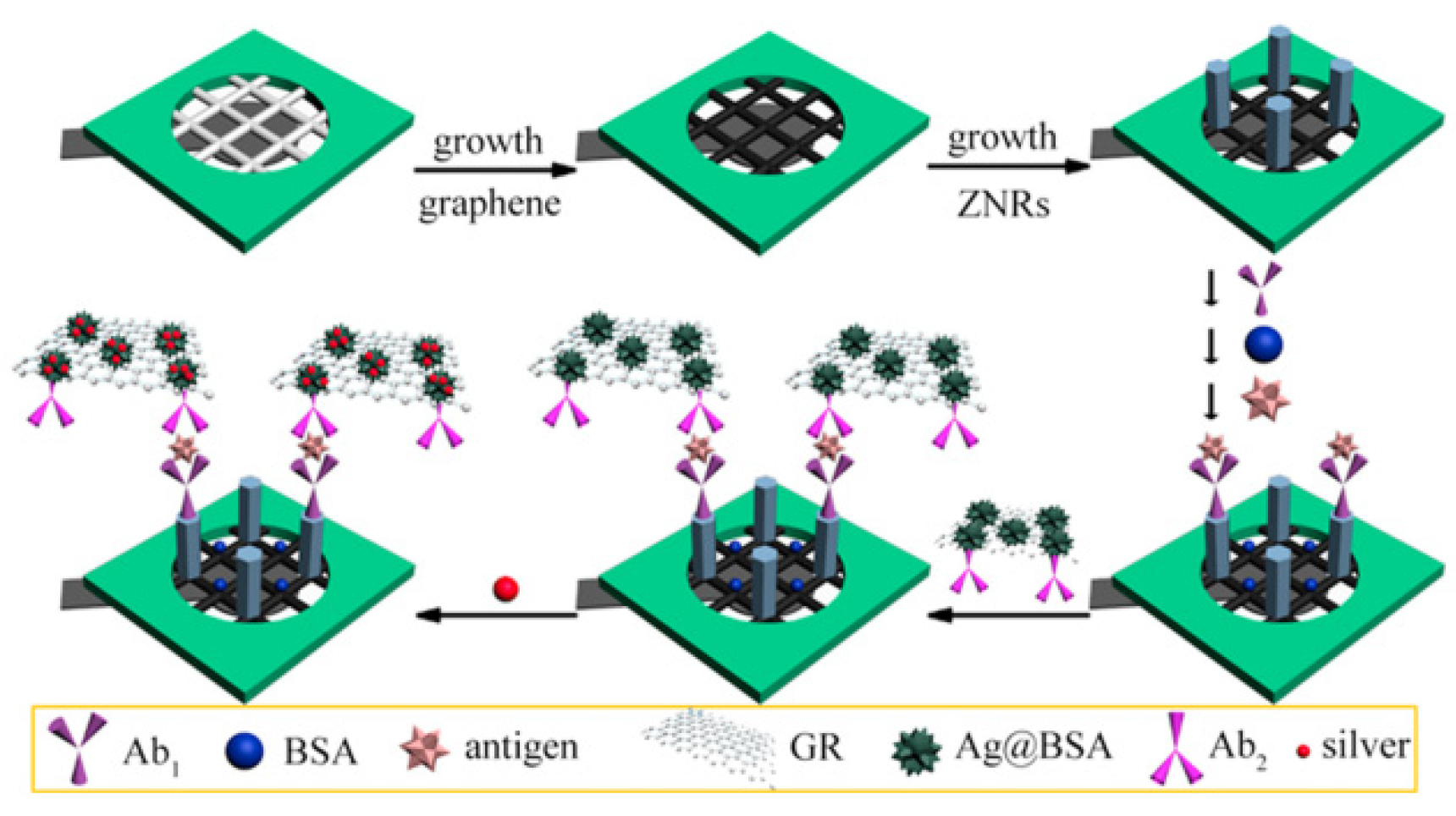 Molecules 27 00267 g007