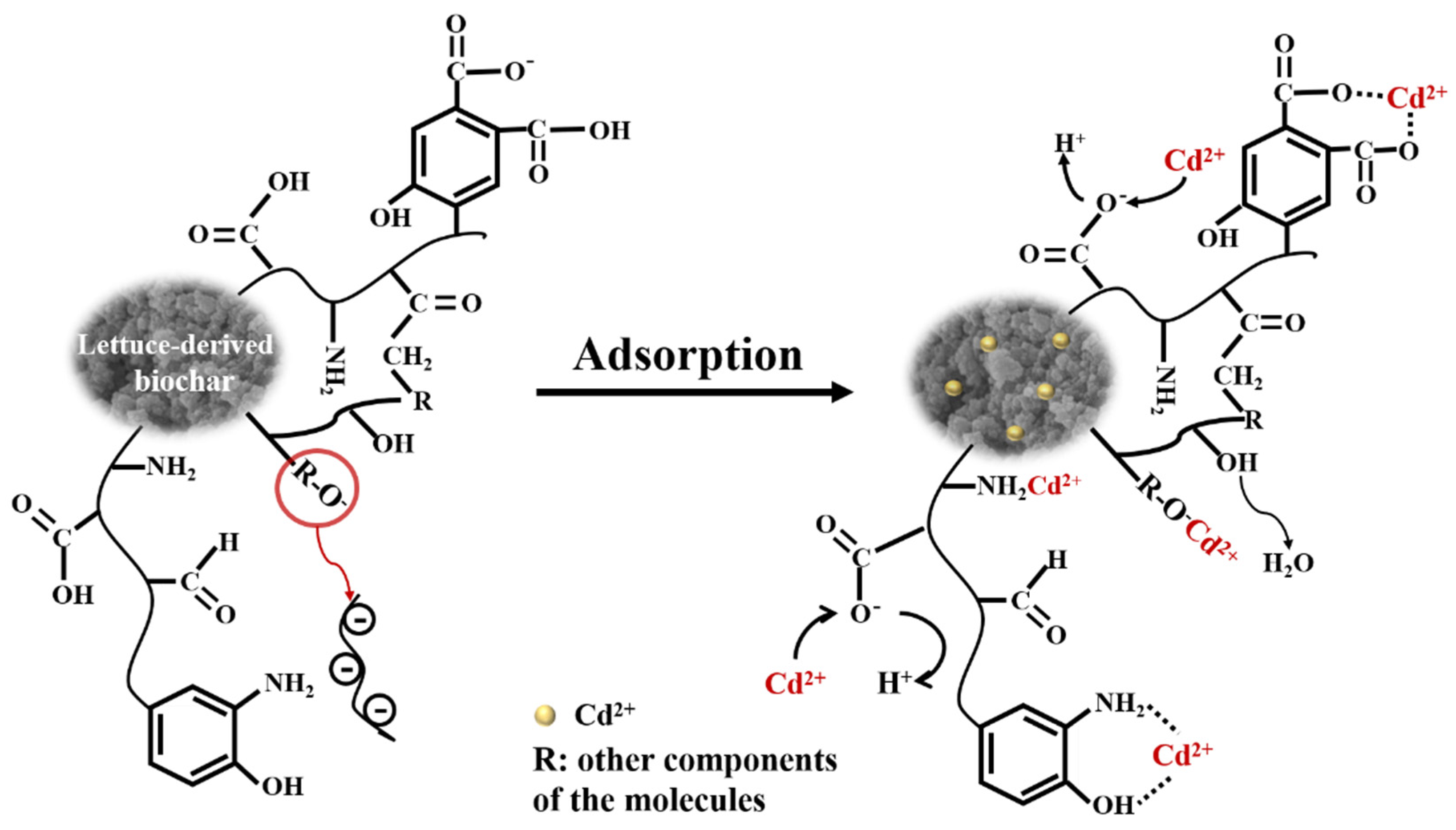 Molecules 27 00269 g010