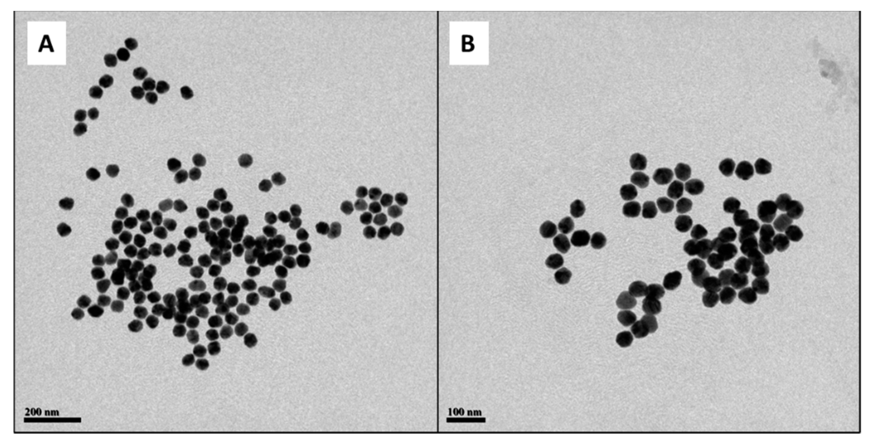 Molecules 27 00282 g001