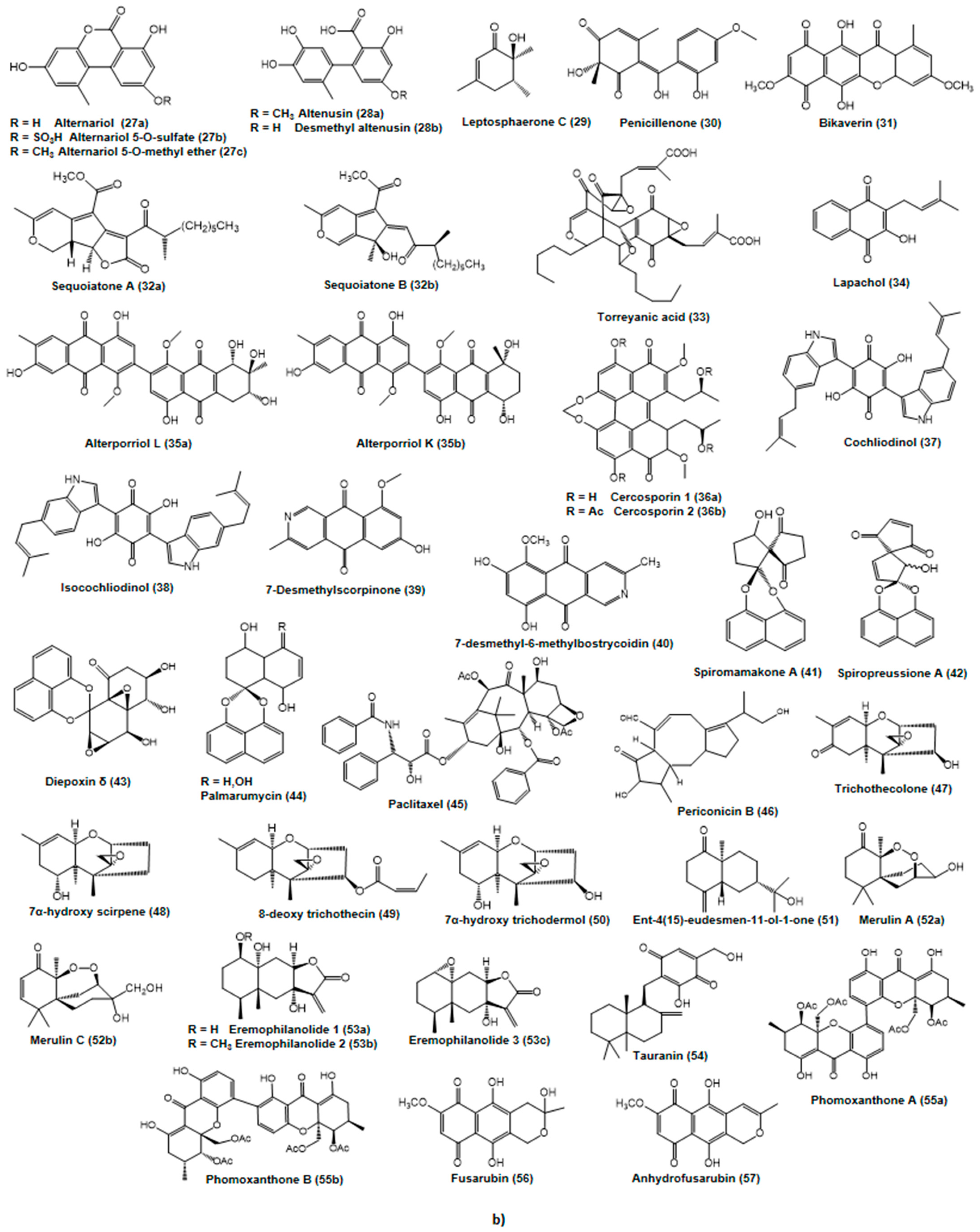 Molecules 27 00296 g003b Molecules 27 00296 g003b