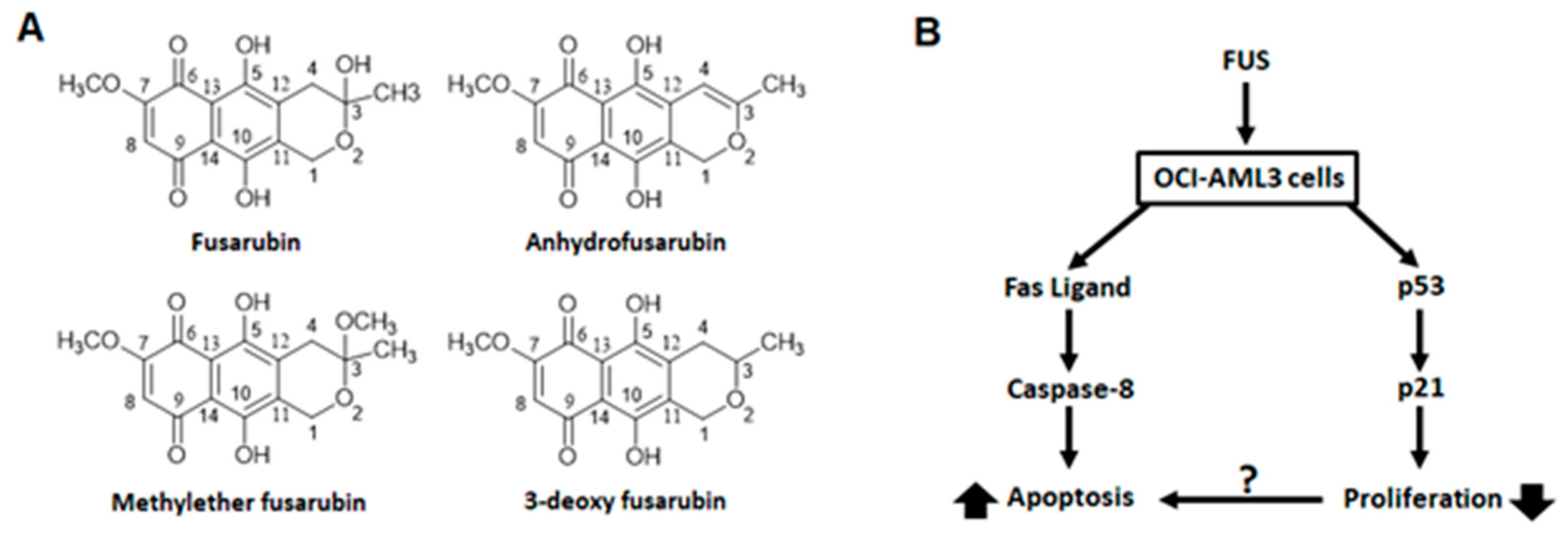 Molecules 27 00296 g004 Molecules 27 00296 g004