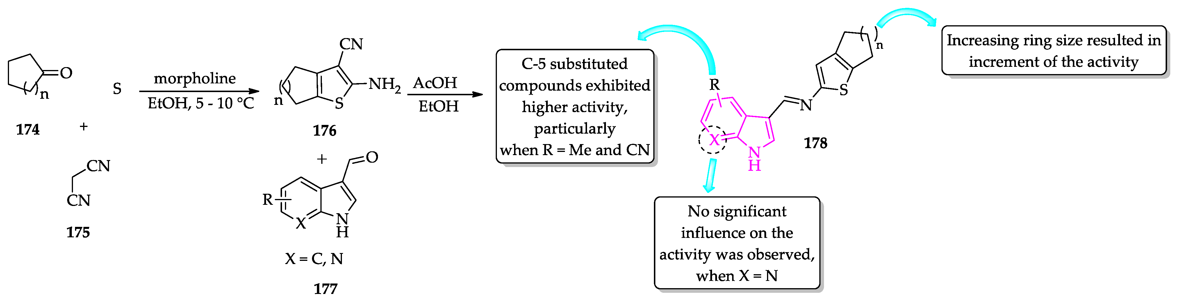 Molecules 27 00319 sch017