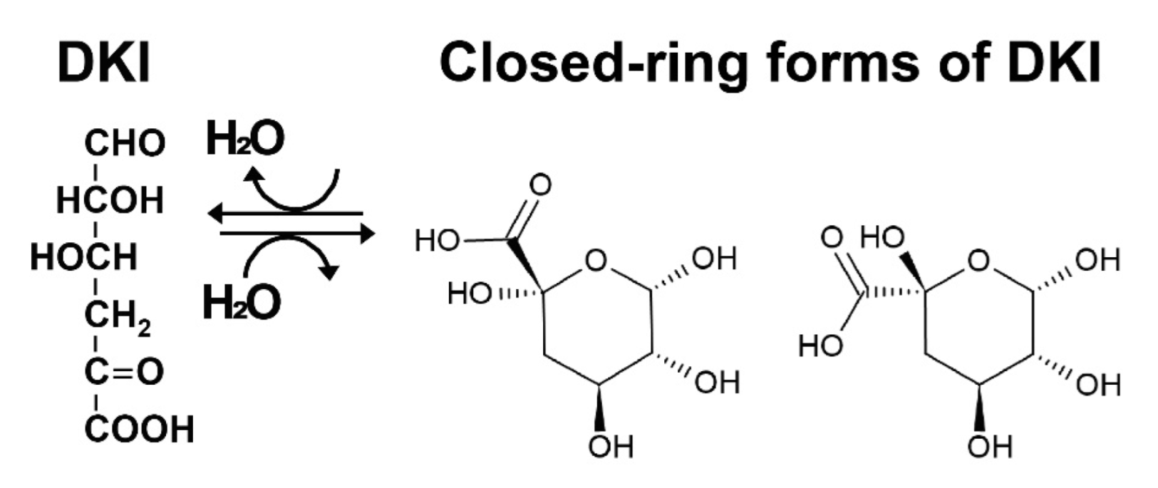 Molecules 27 00338 g002 Molecules 27 00338 g002