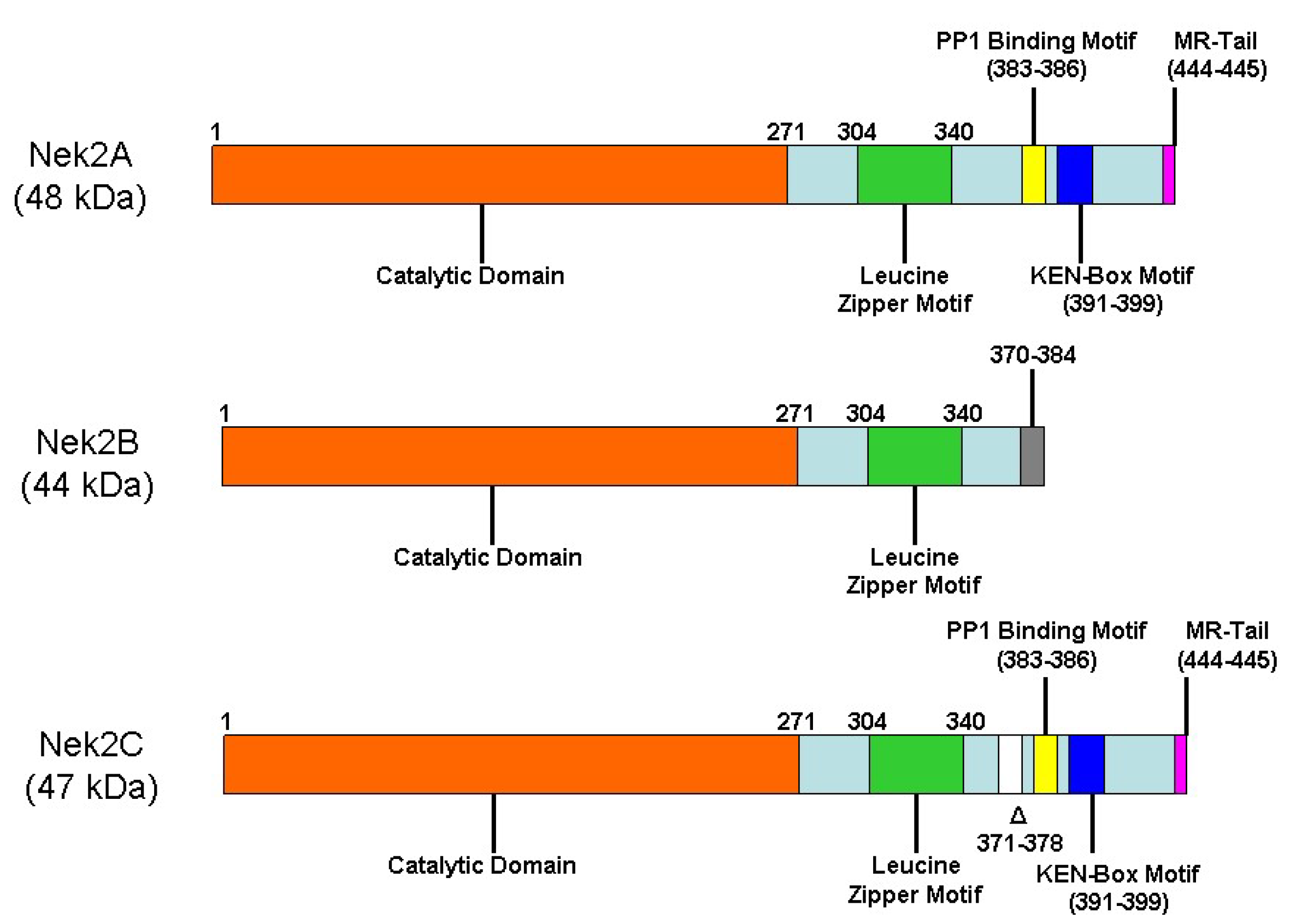 Molecules 27 00347 g001 Molecules 27 00347 g001