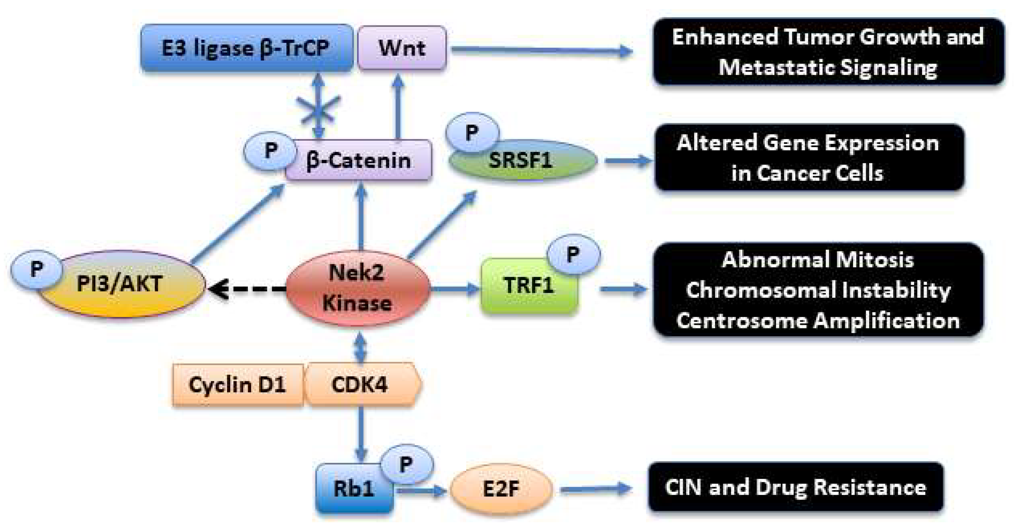 Molecules 27 00347 g004 Molecules 27 00347 g004