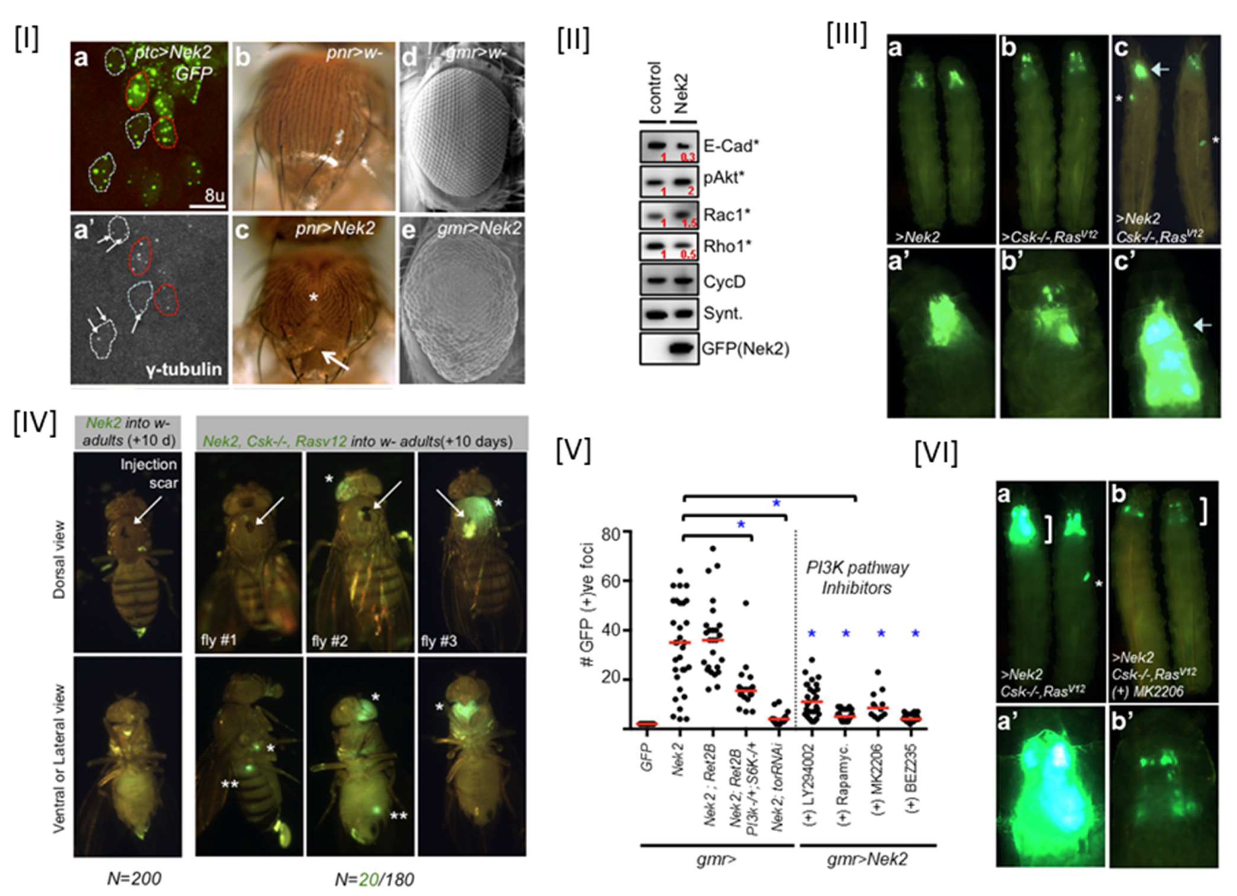 Molecules 27 00347 g005 Molecules 27 00347 g005