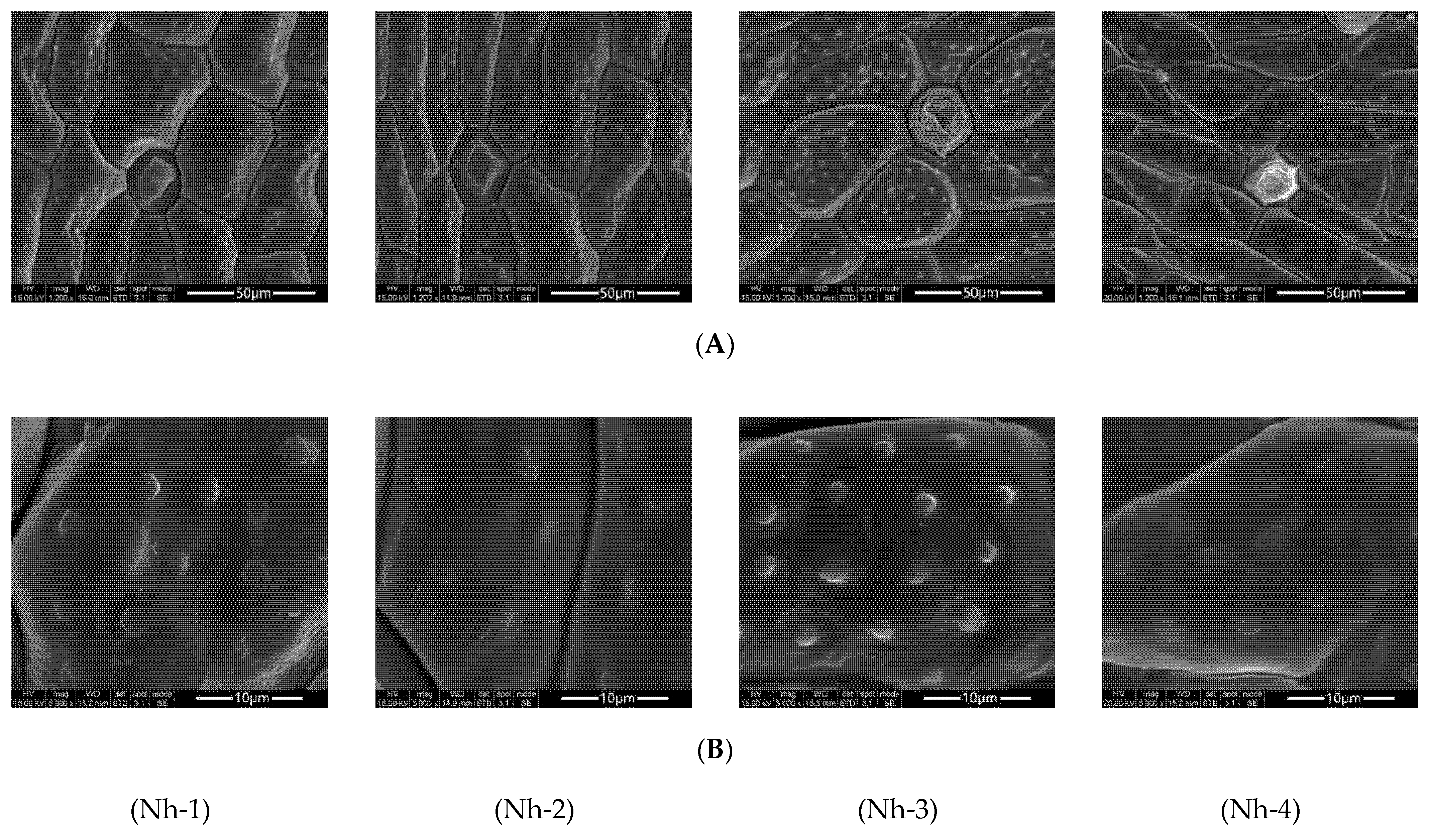 Molecules 27 00408 g002 Molecules 27 00408 g002