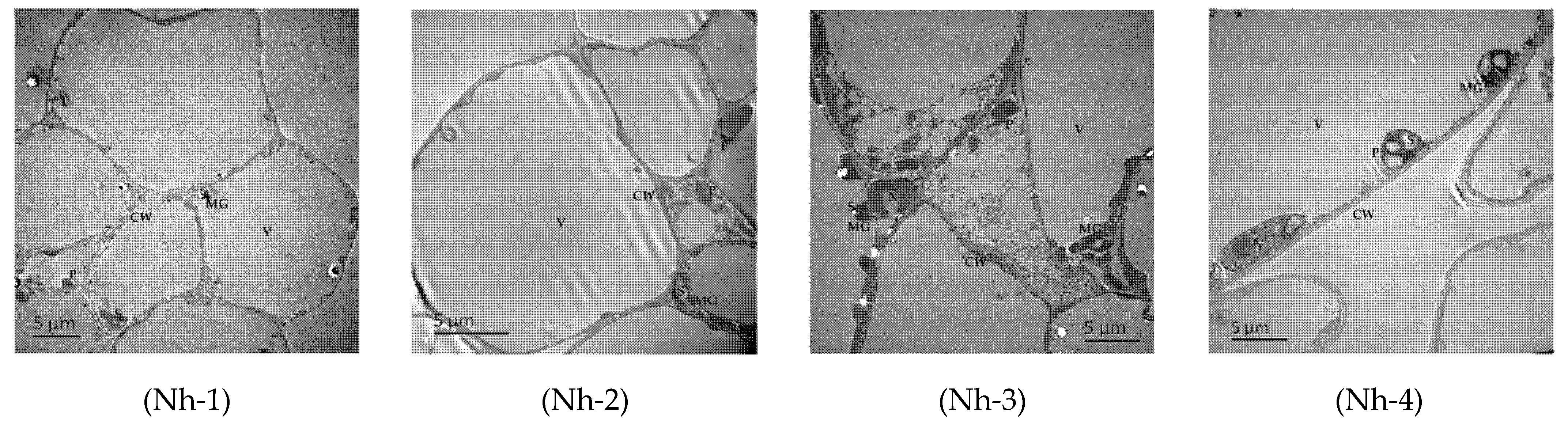 Molecules 27 00408 g003 Molecules 27 00408 g003