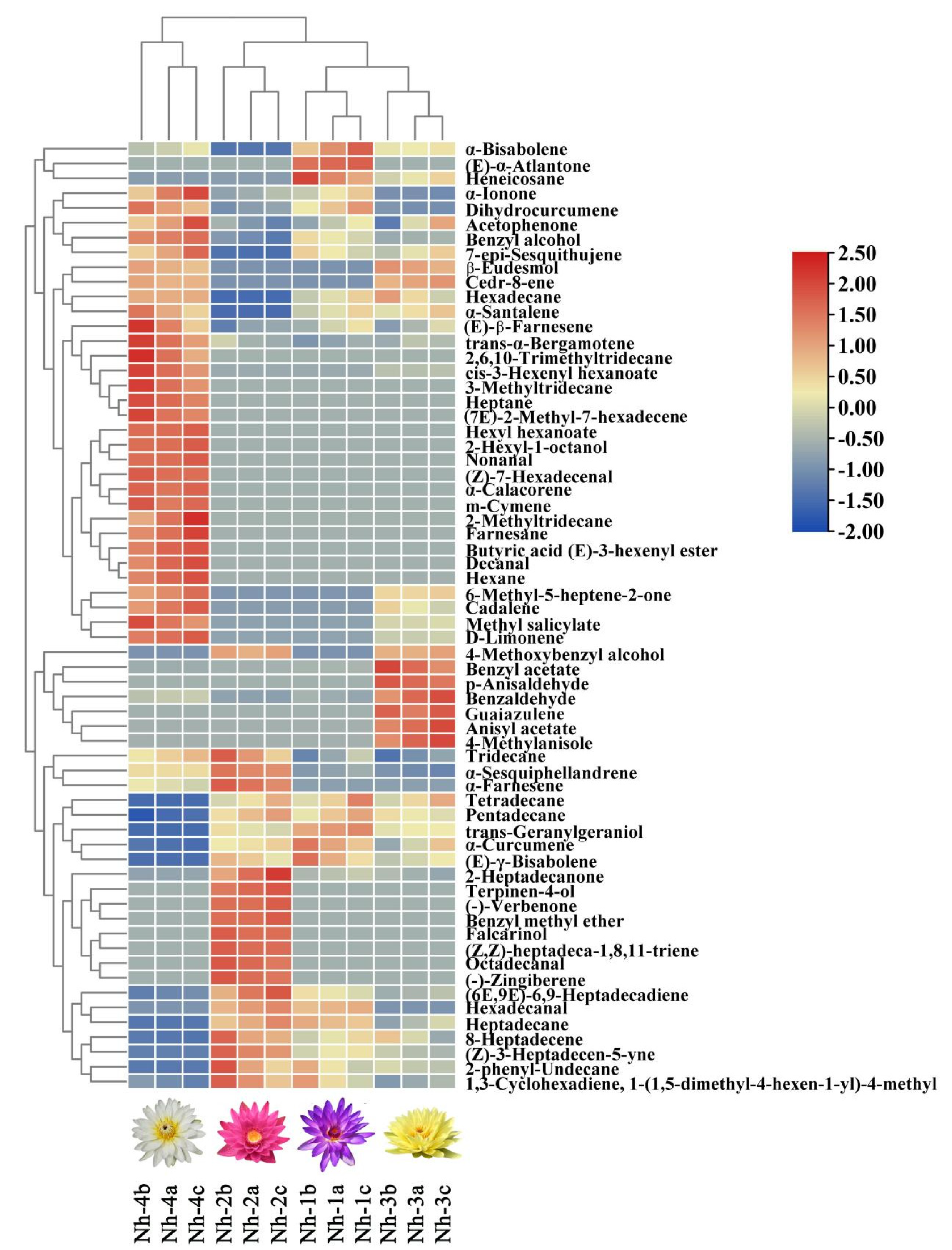 Molecules 27 00408 g006 Molecules 27 00408 g006