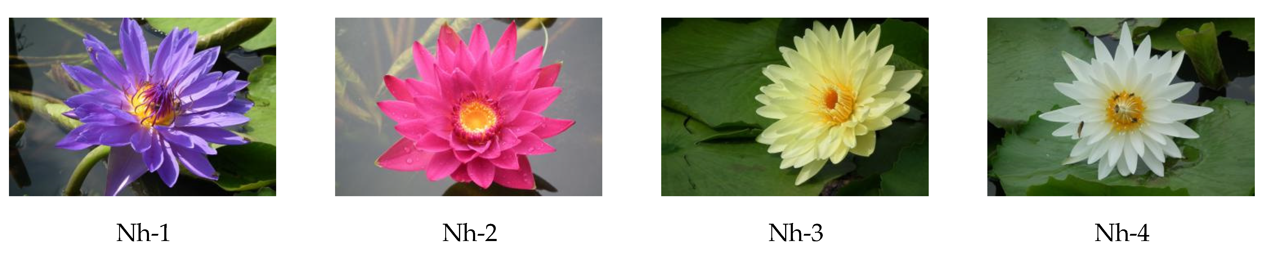 Molecules 27 00408 g008 Molecules 27 00408 g008