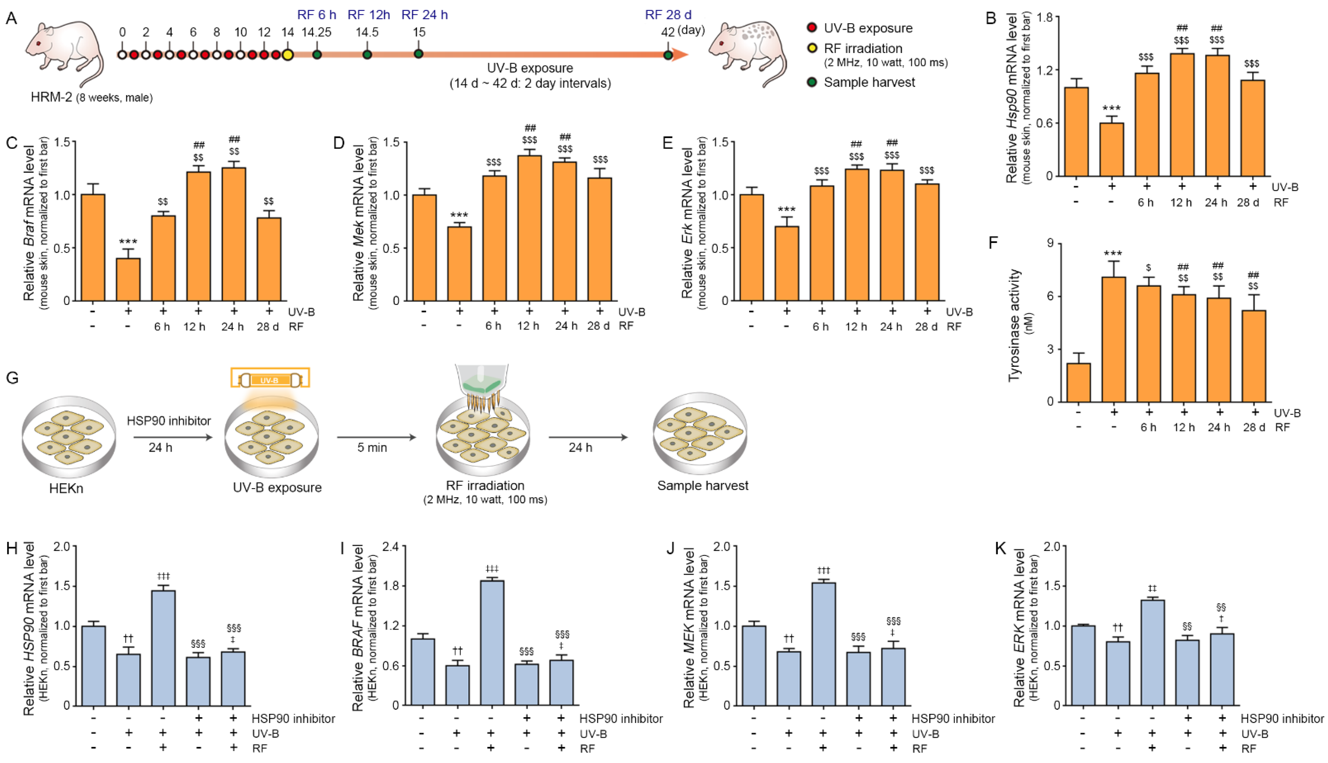 Molecules 27 00454 g001