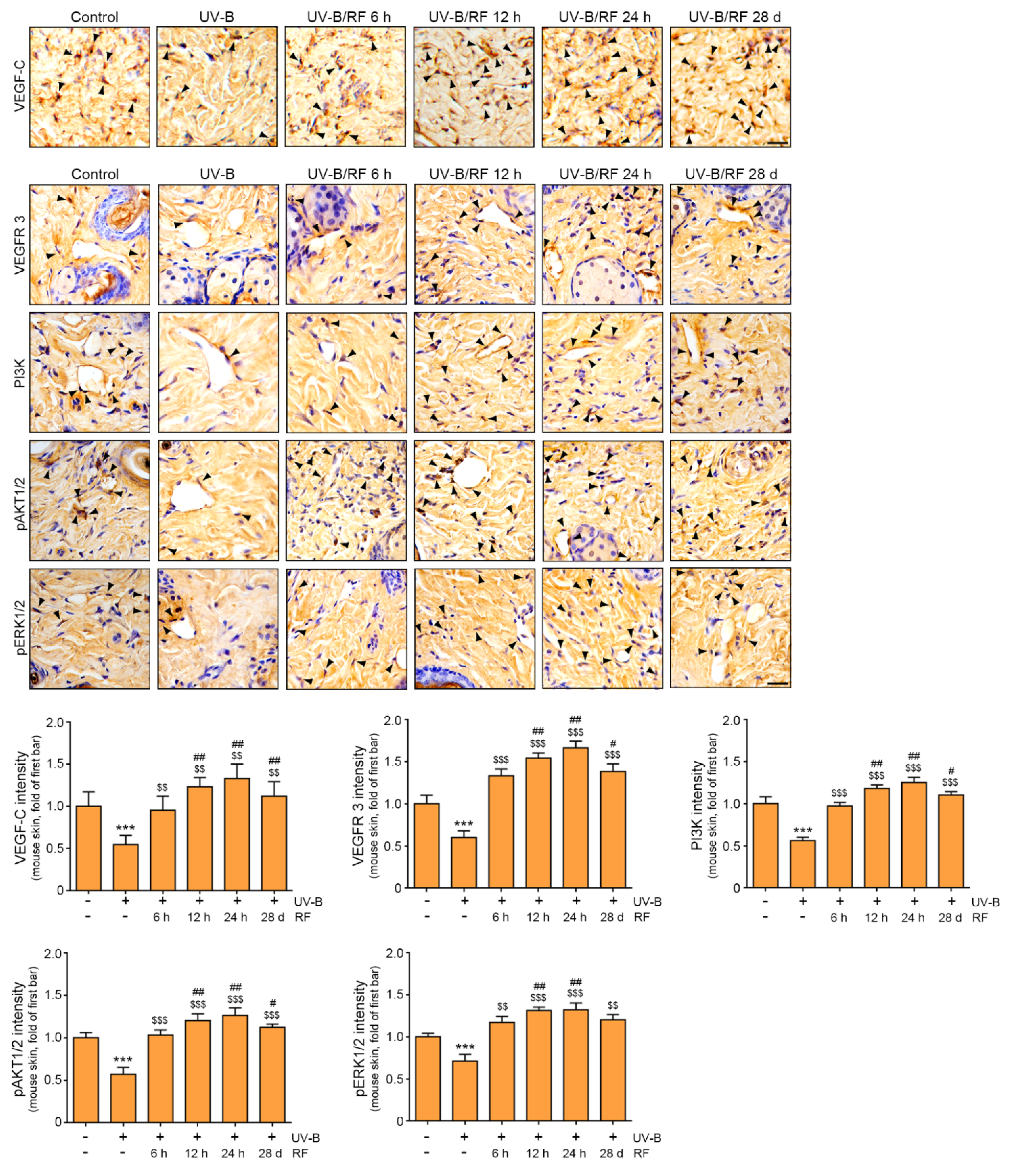 Molecules 27 00454 g002