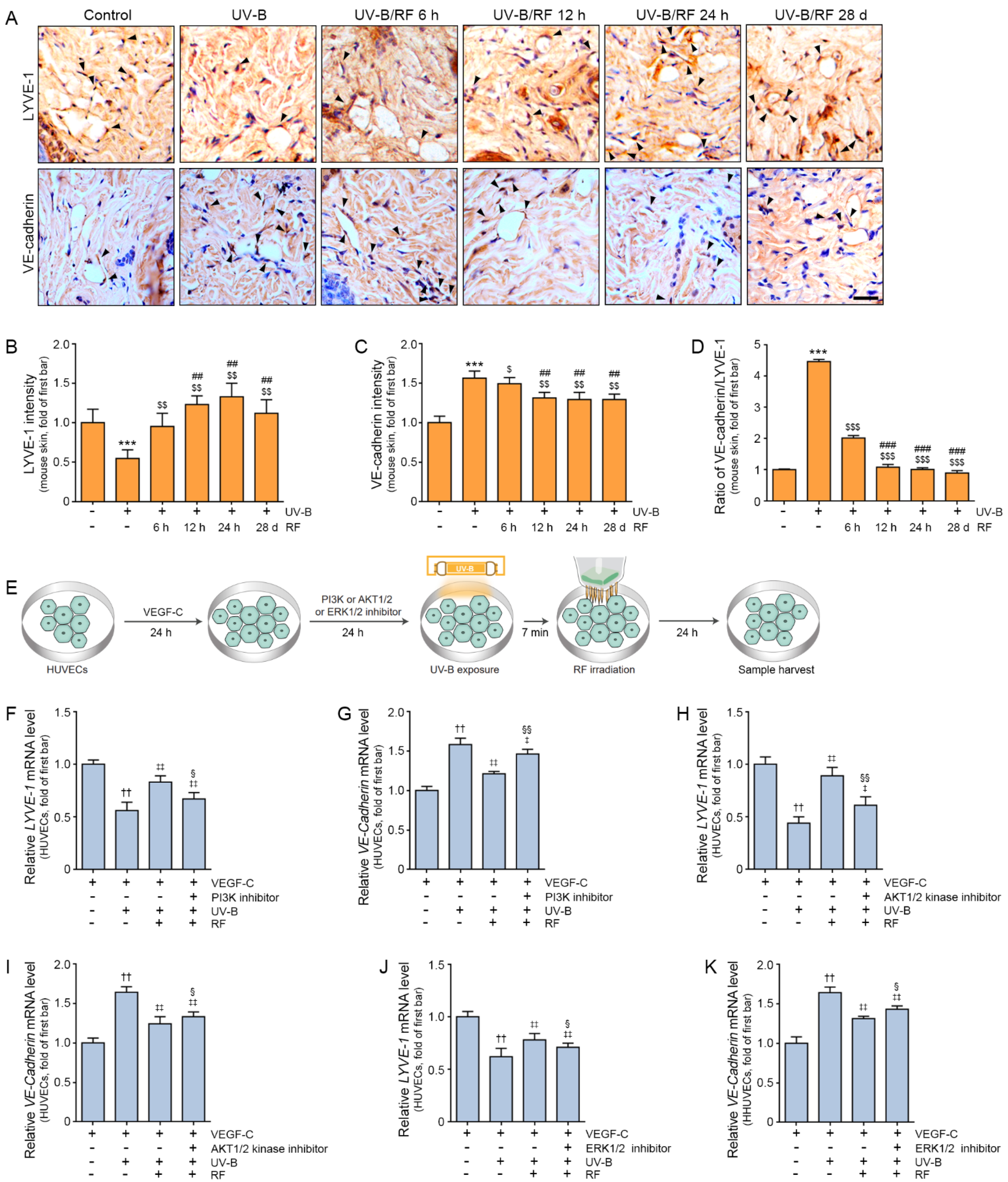 Molecules 27 00454 g003