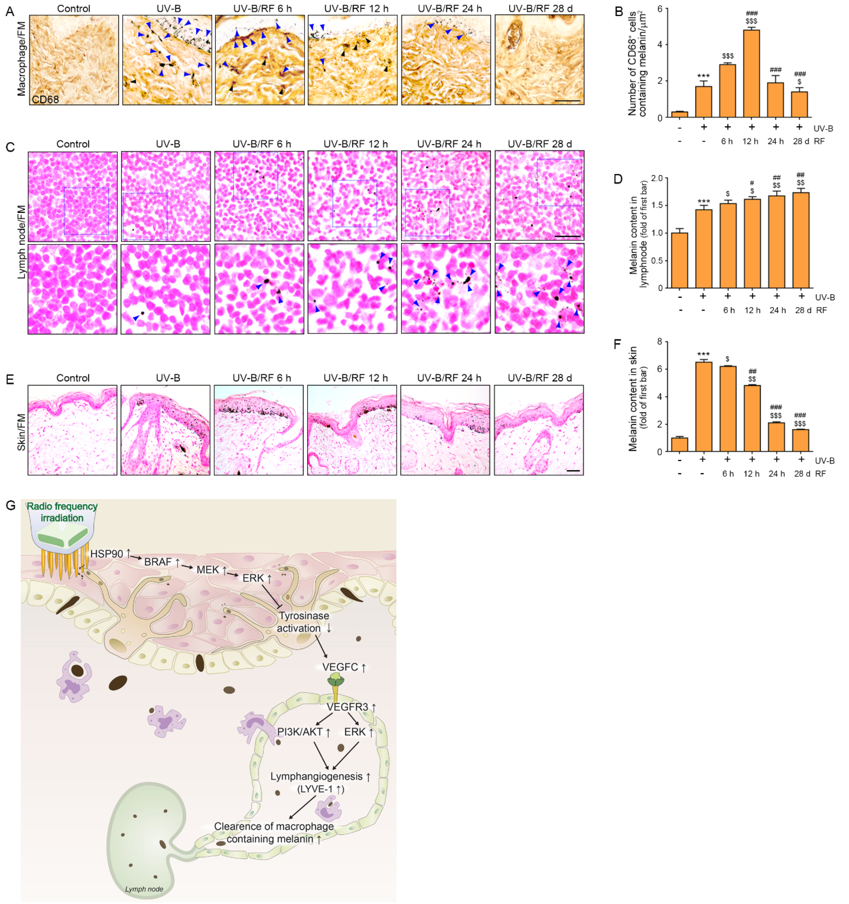 Molecules 27 00454 g004