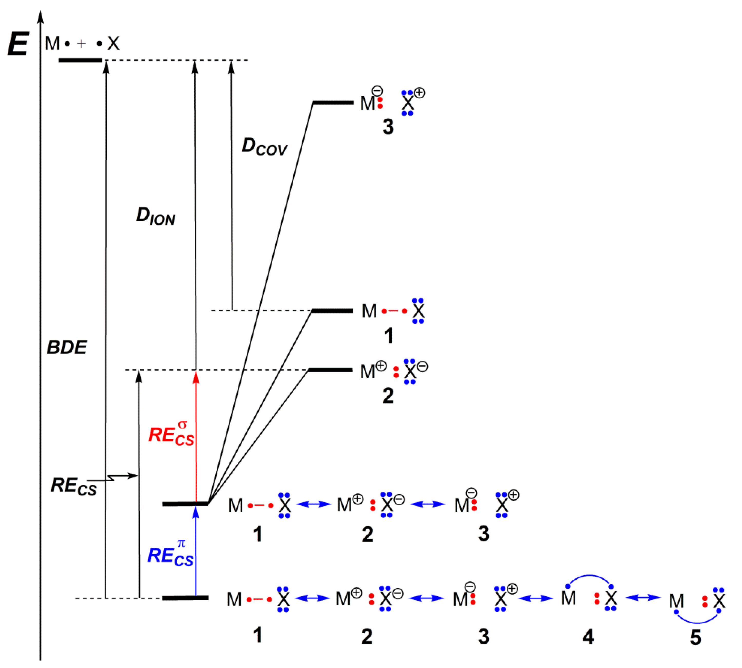Molecules 27 00490 g004