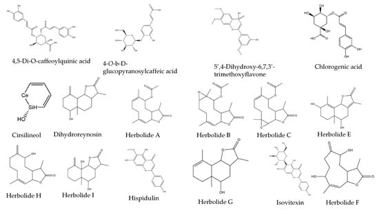 Artemisia annua, possible treatment against Covid-19 : Status report o –  Siyah Organics