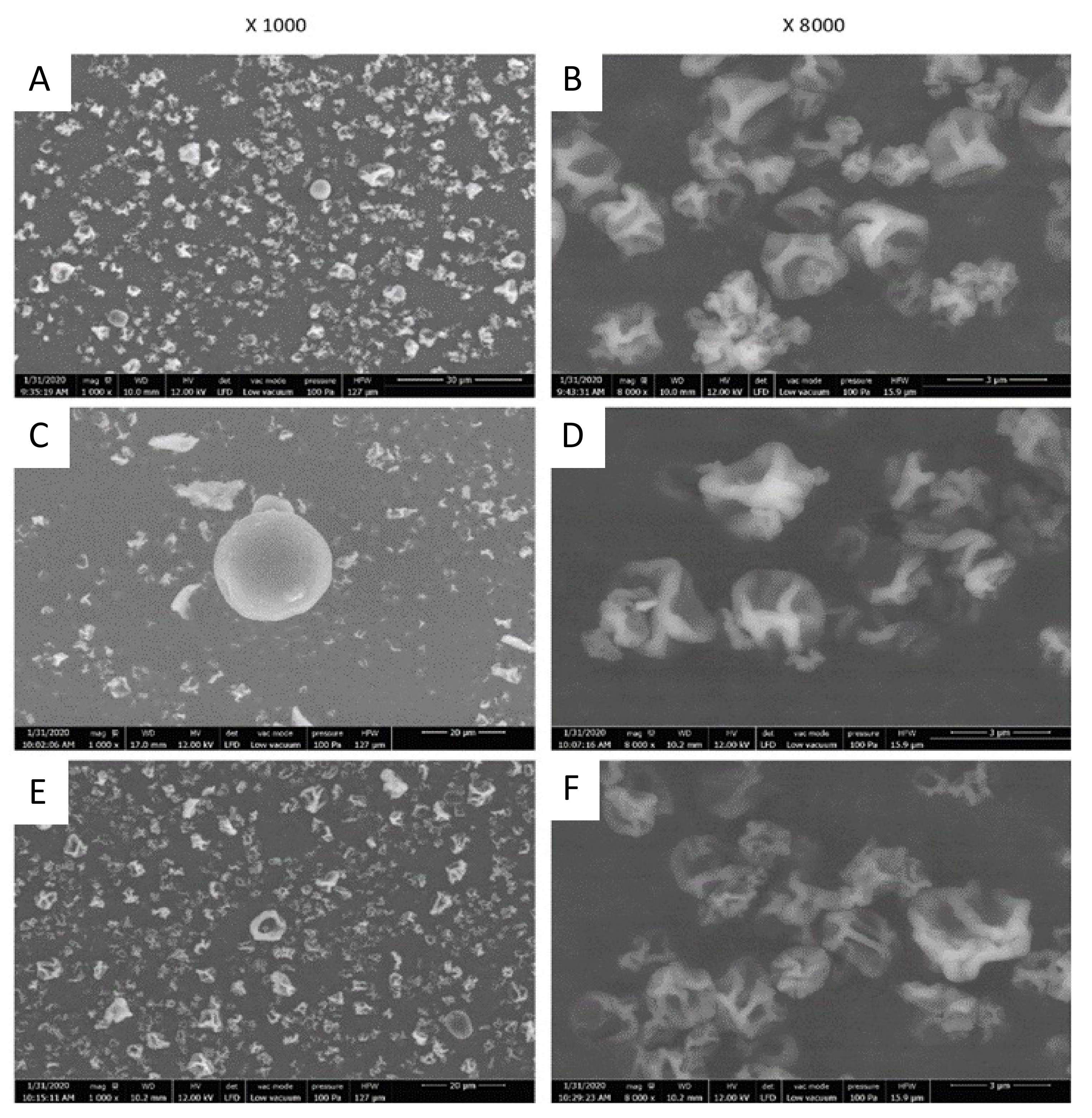 Molecules 27 00496 g002