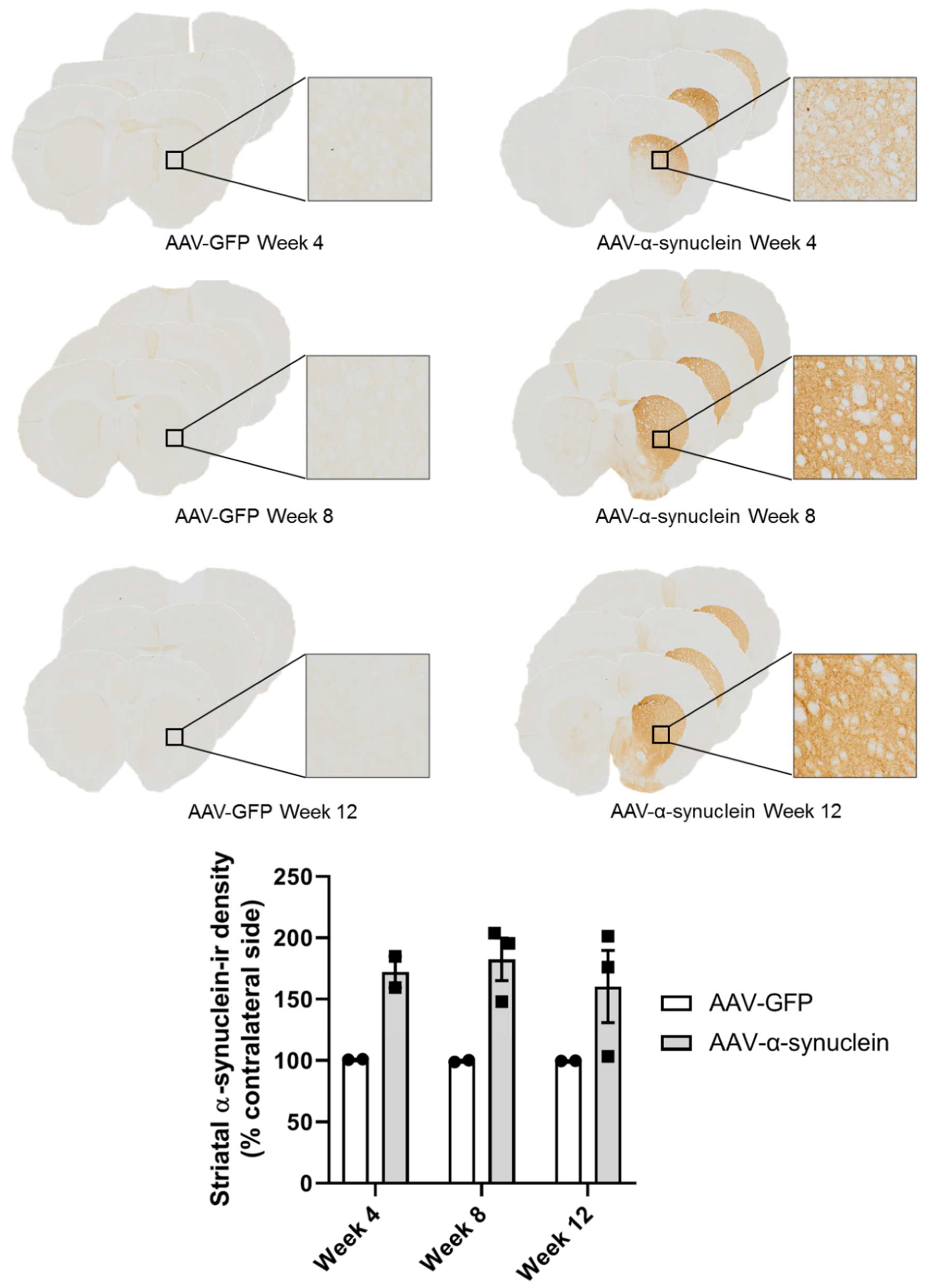 Molecules 27 00507 g002