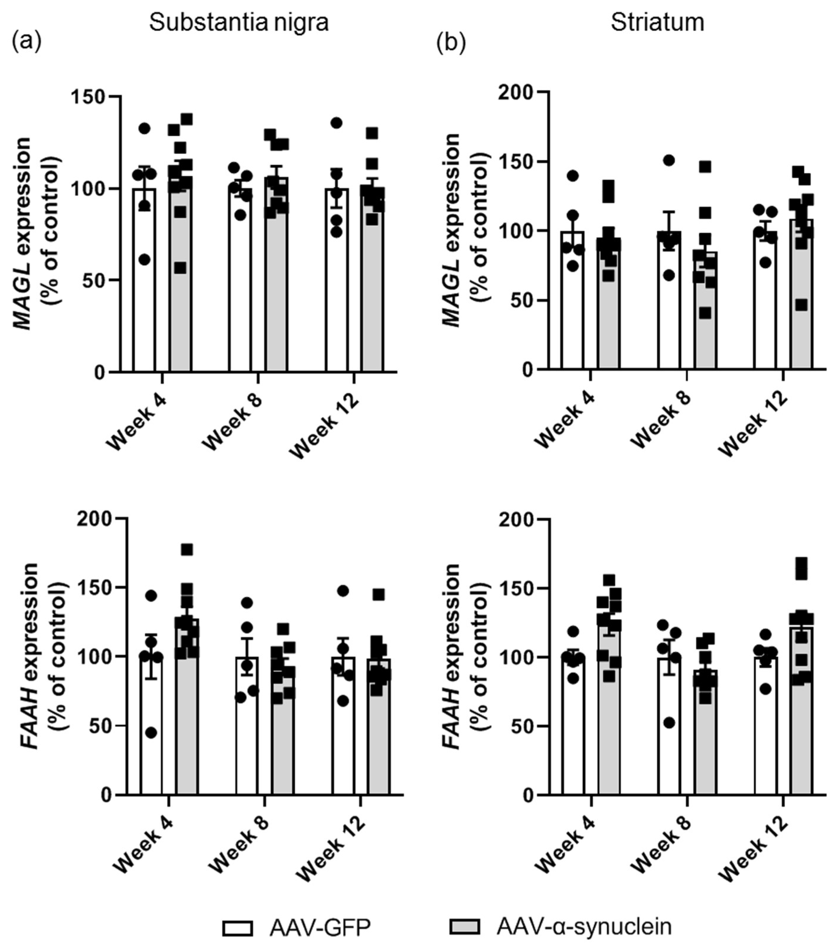 Molecules 27 00507 g006