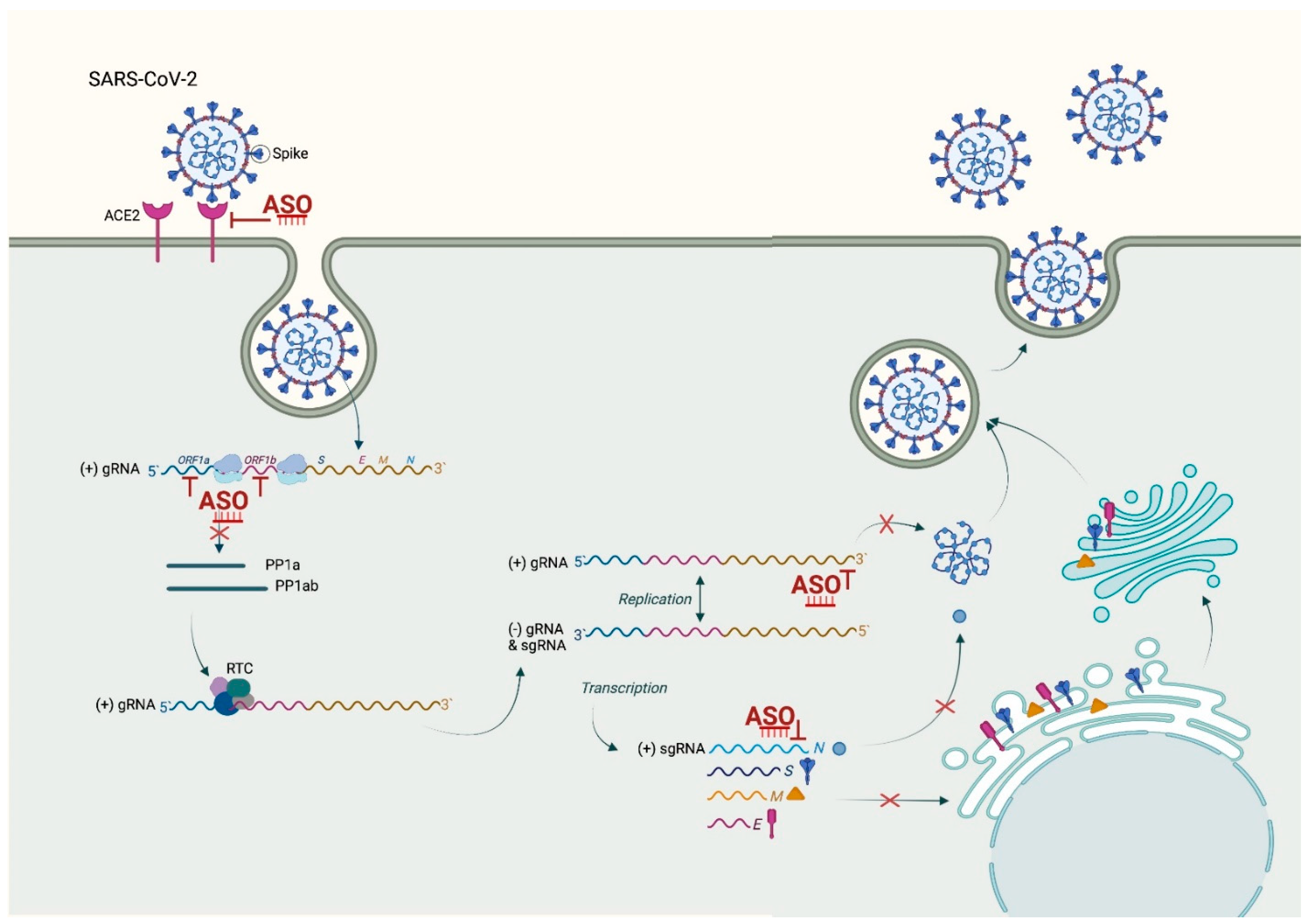 Molecules 27 00536 g002 Molecules 27 00536 g002