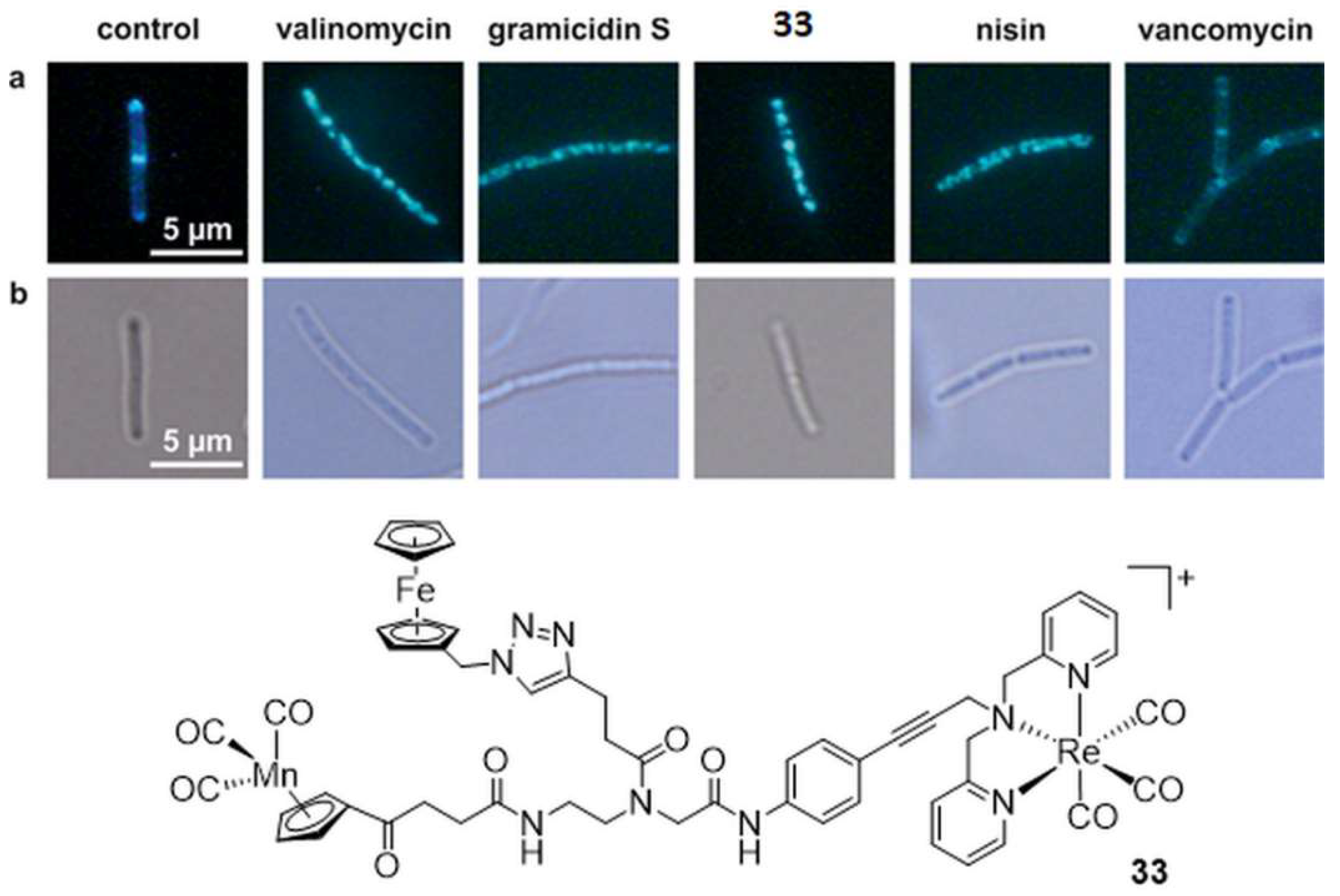 Molecules 27 00539 g007