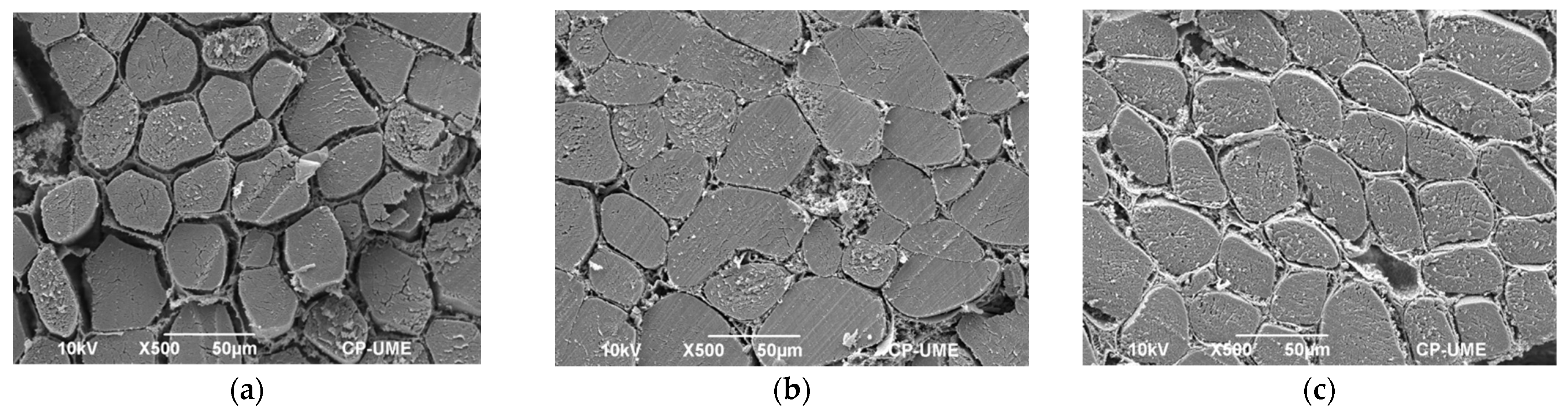 Molecules 27 00541 g003a