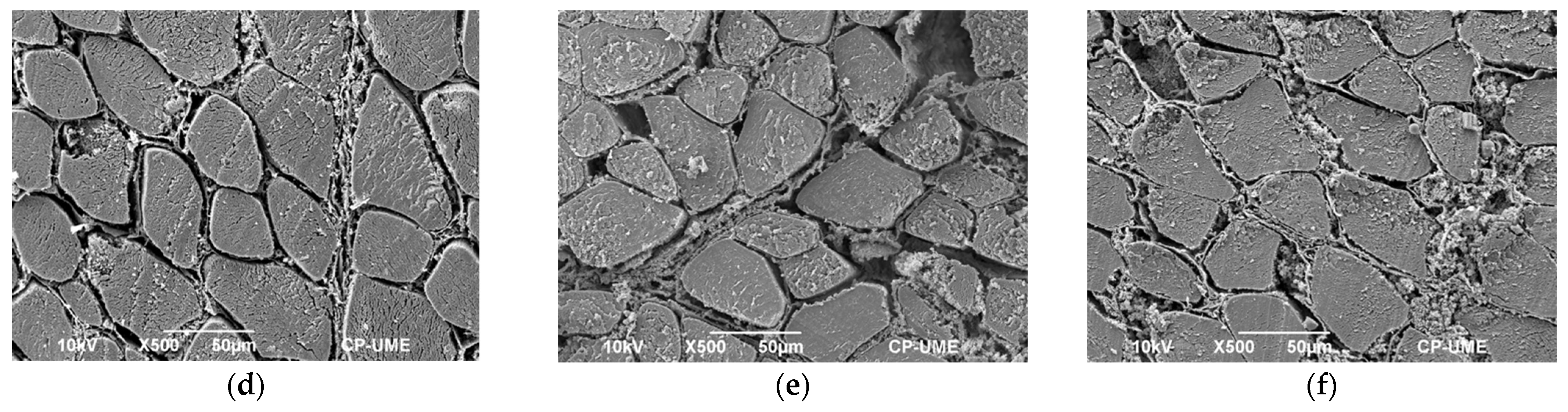 Molecules 27 00541 g003b