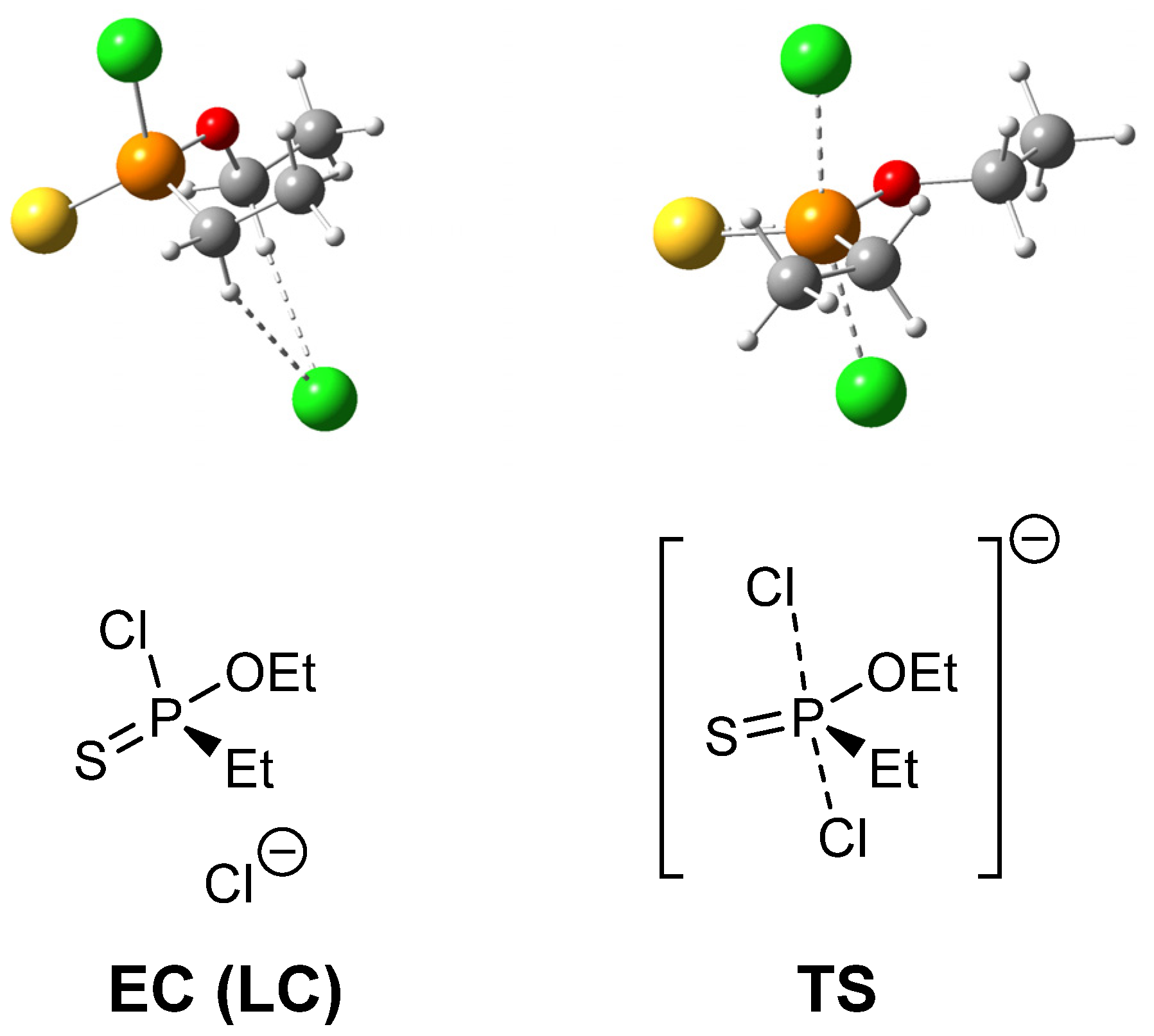Molecules 27 00599 g003