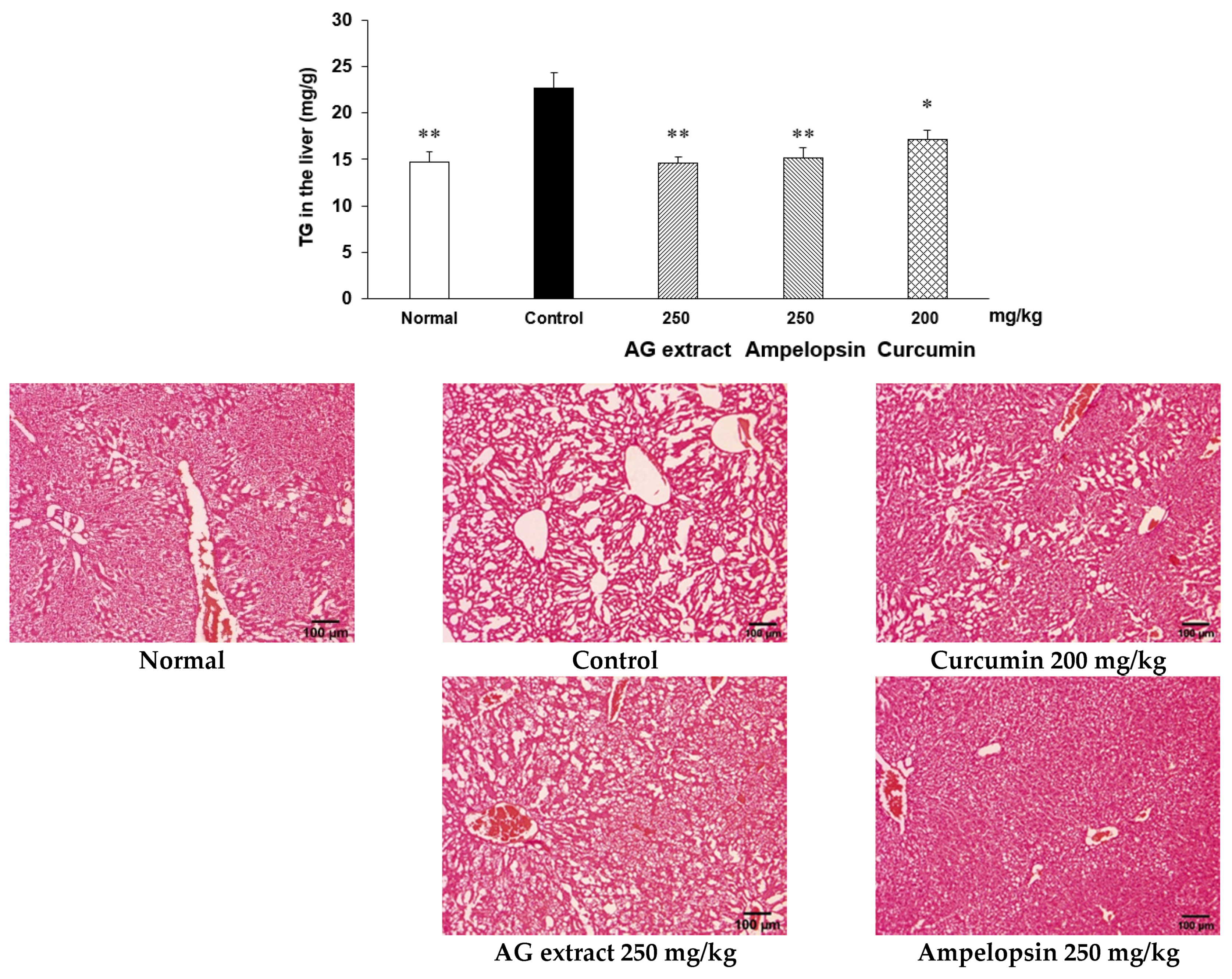 Molecules 27 00607 g007 Molecules 27 00607 g007