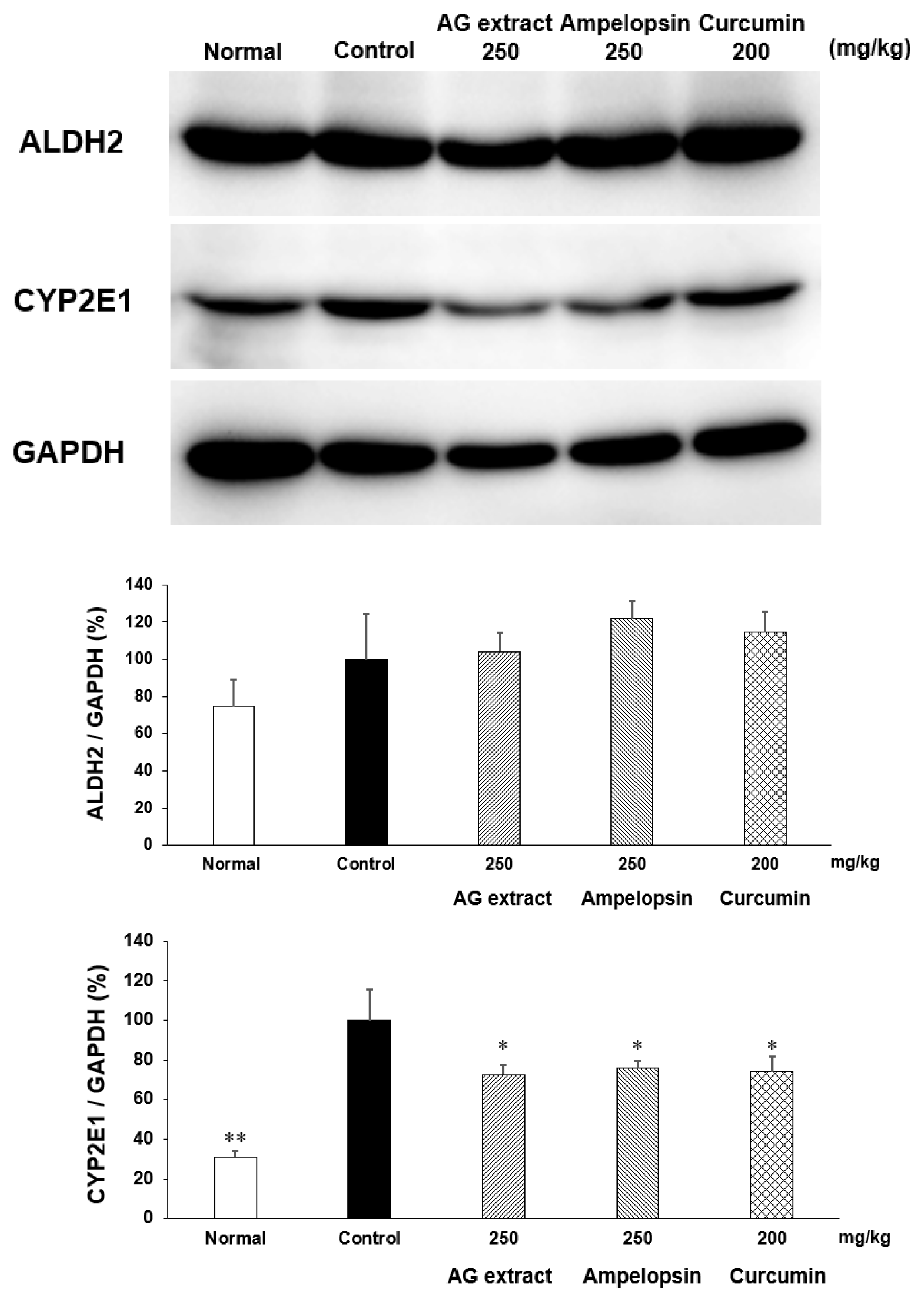 Molecules 27 00607 g008 Molecules 27 00607 g008