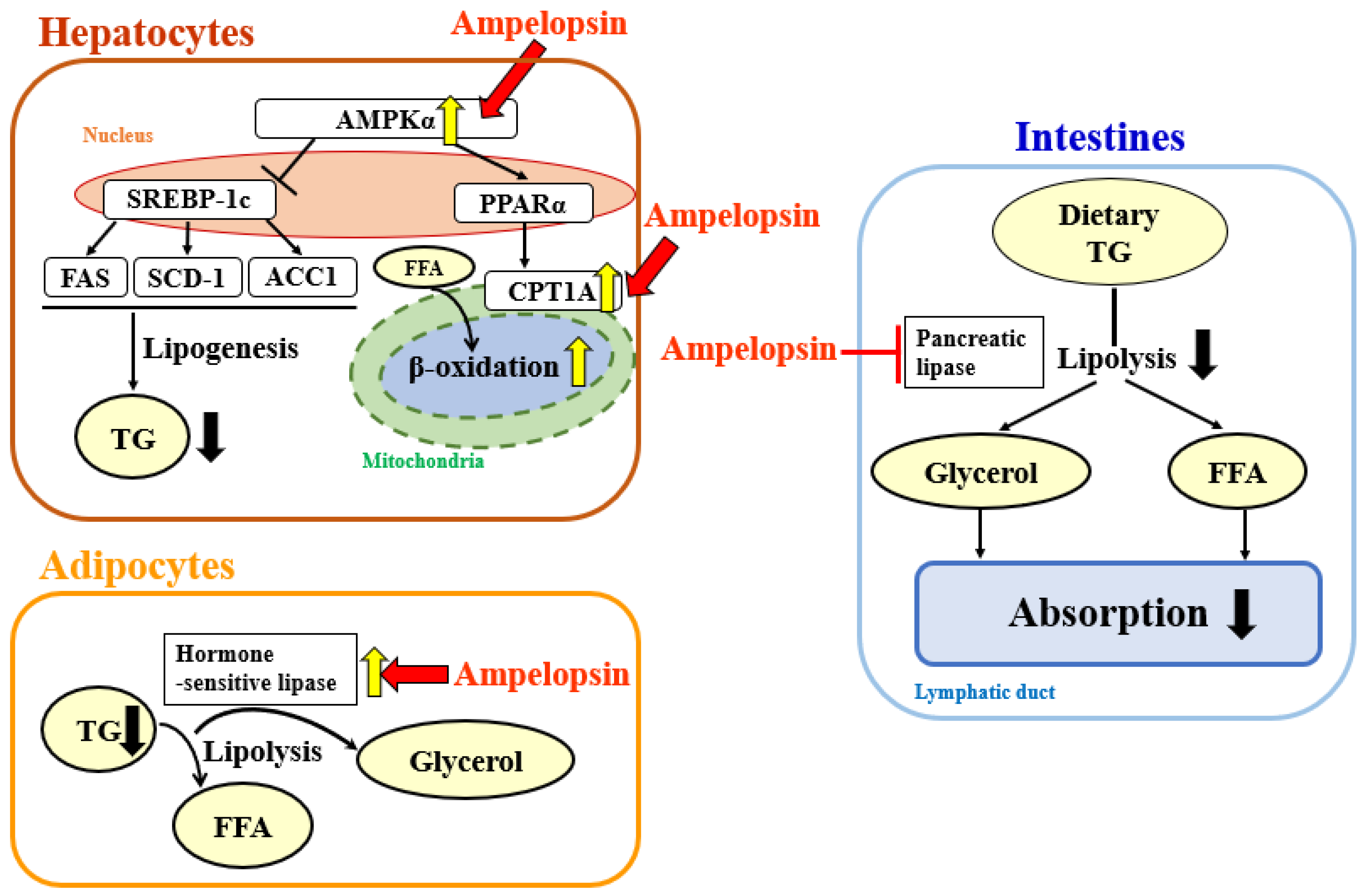 Molecules 27 00607 g009 Molecules 27 00607 g009