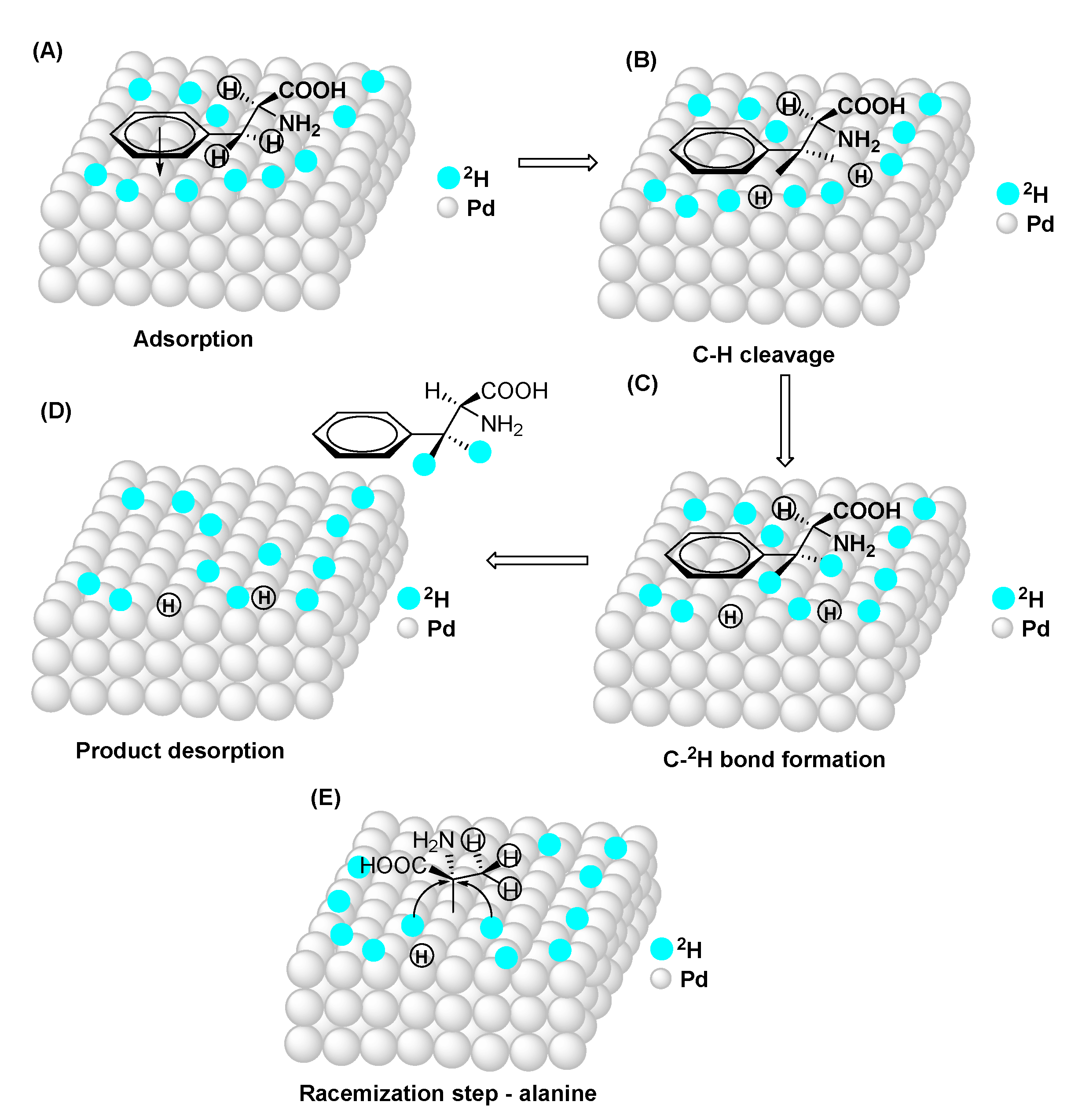 Molecules 27 00614 g004