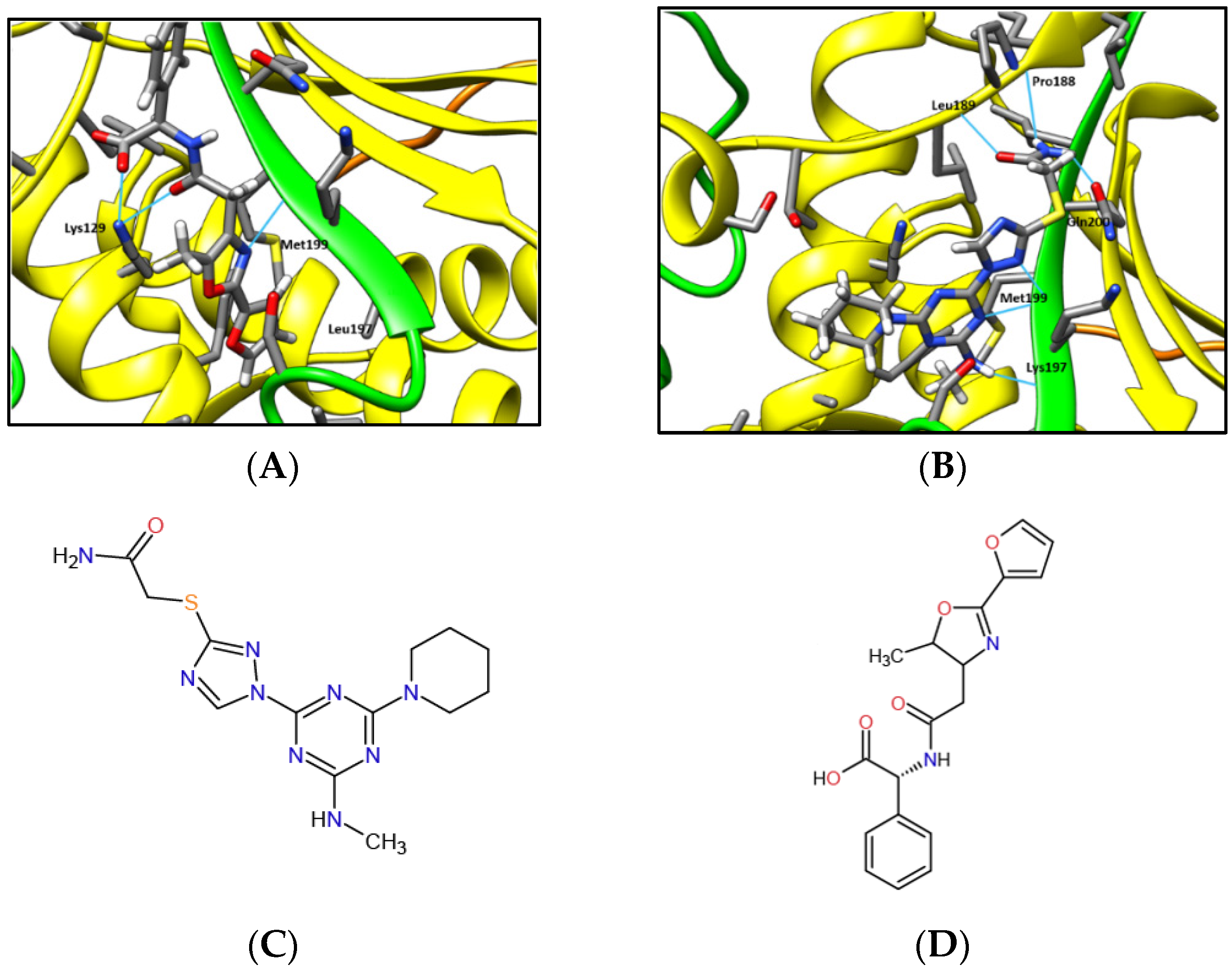 Molecules 27 00636 g002 Molecules 27 00636 g002