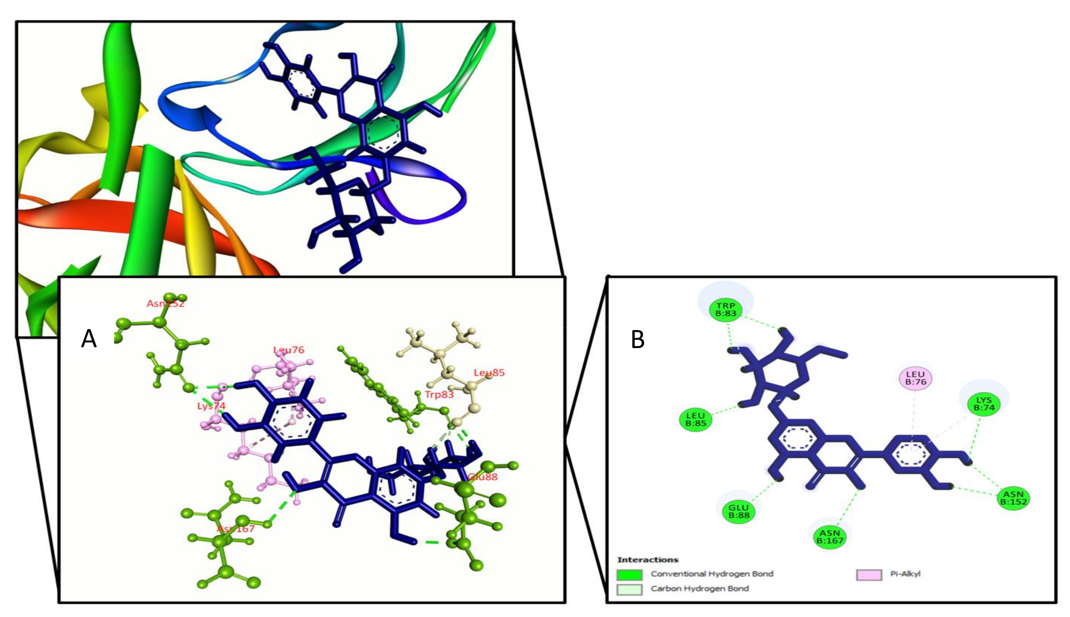 Molecules 27 00653 g001 Molecules 27 00653 g001