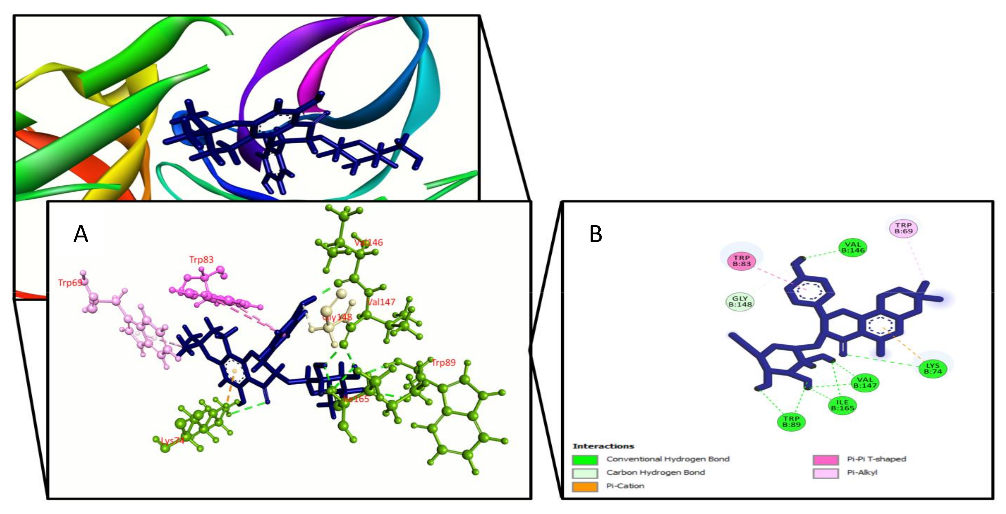 Molecules 27 00653 g002 Molecules 27 00653 g002