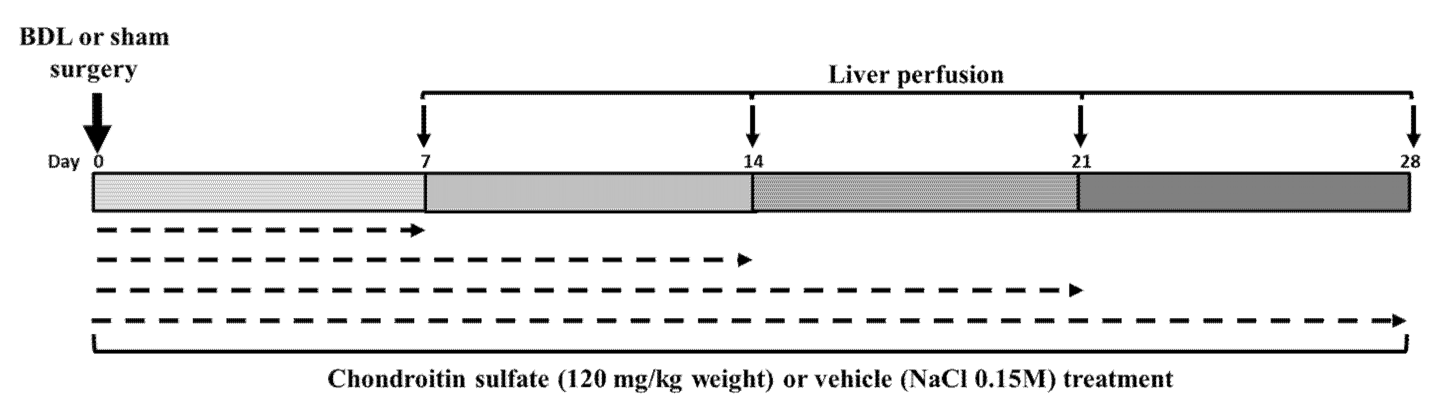 Molecules 27 00654 g005