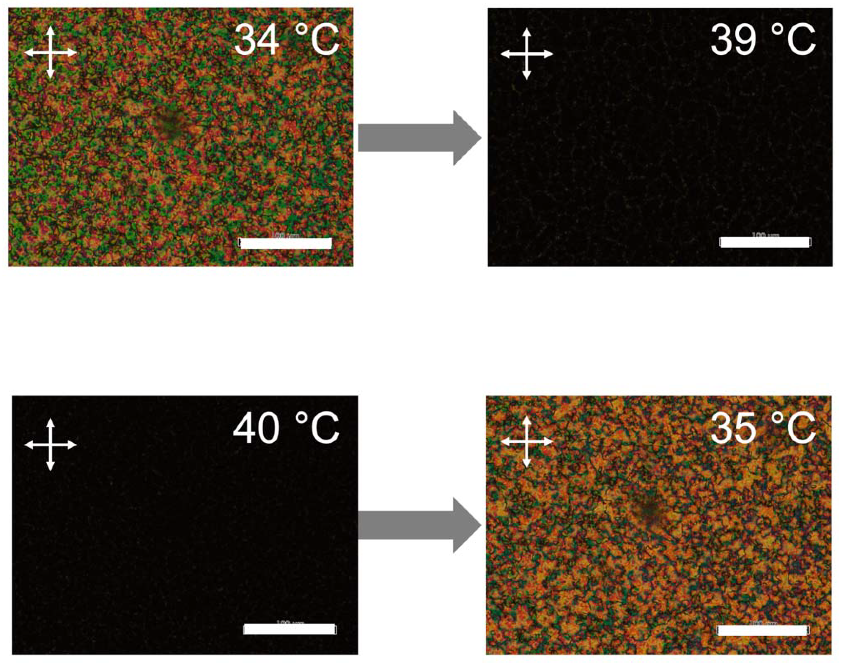 Molecules 27 00689 g003