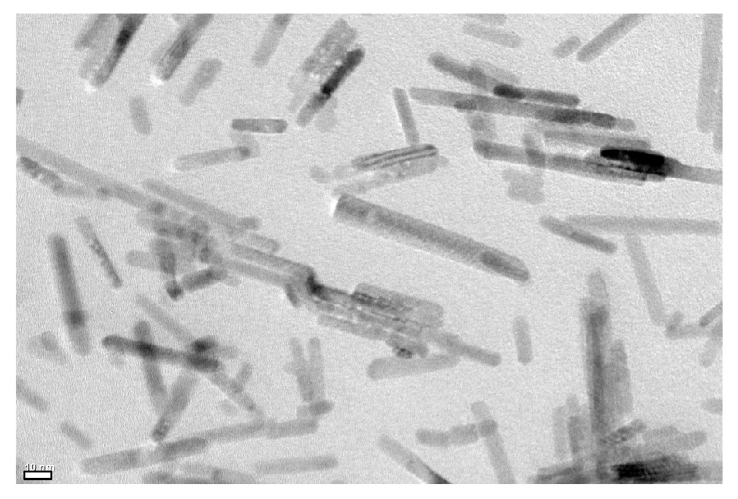 Molecules 27 00689 g006