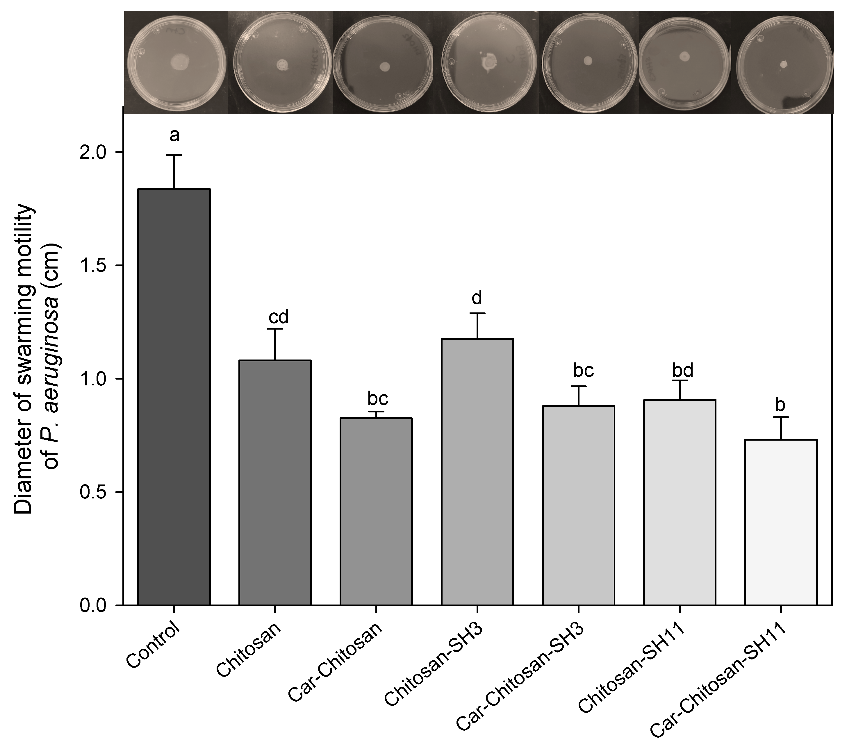 Molecules 27 00699 g006
