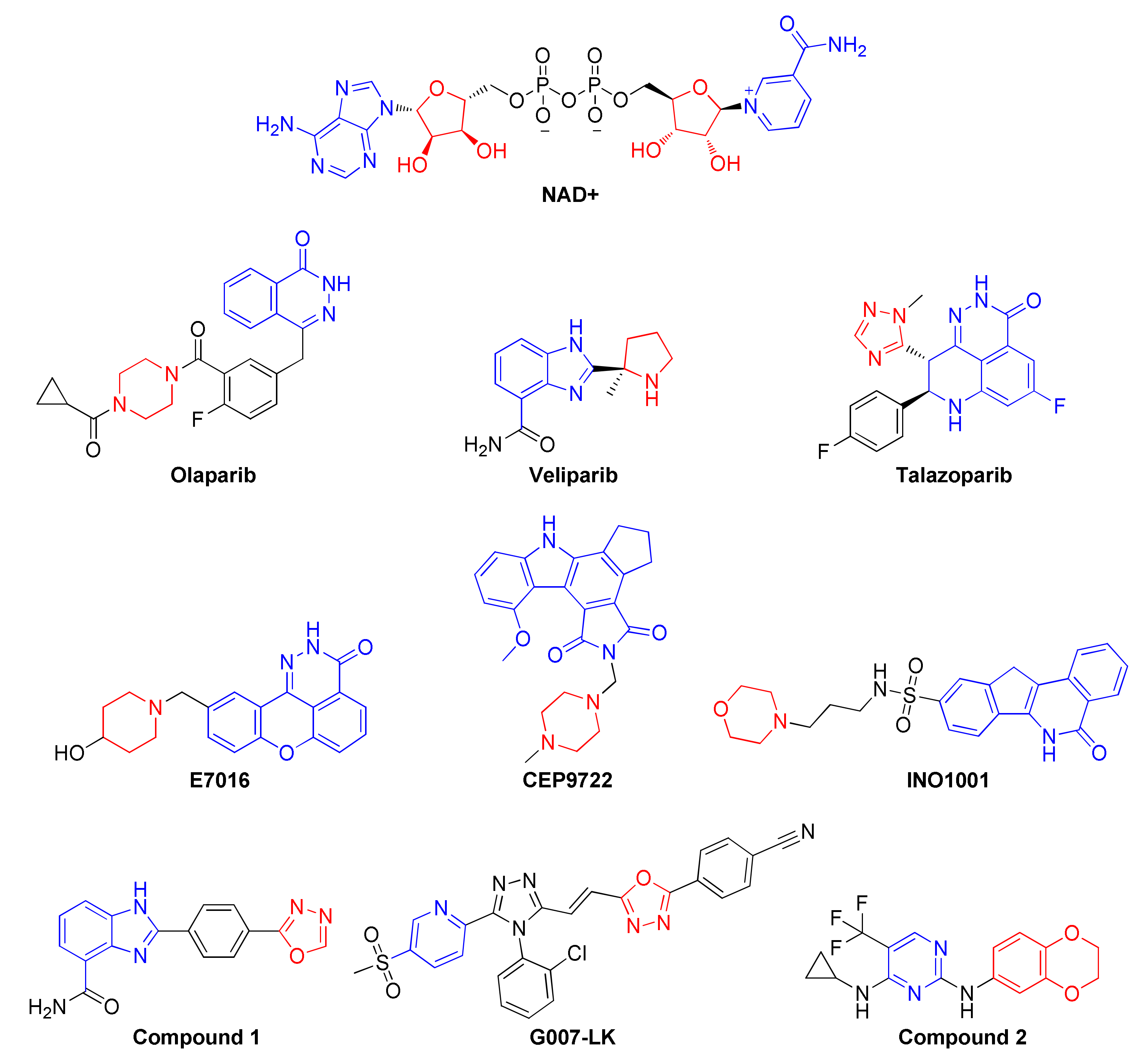 Molecules 27 00703 g001